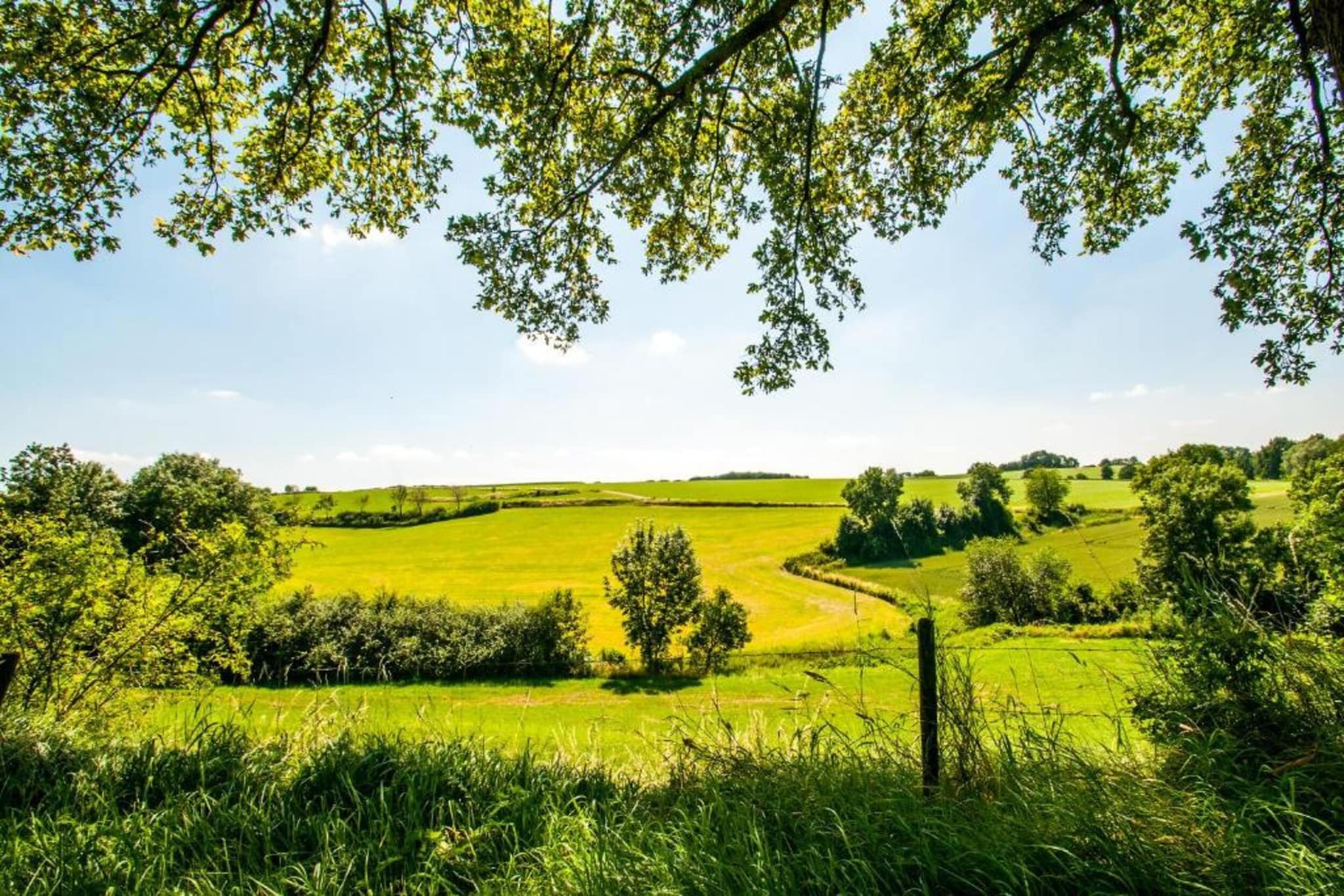 Hoeve in gunne winkel 1-Areas summer 20km