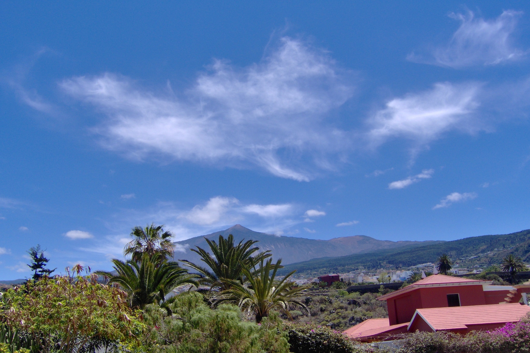 Apartamentos Monasterio de San Antonio 3 - Areas within 20km in summer