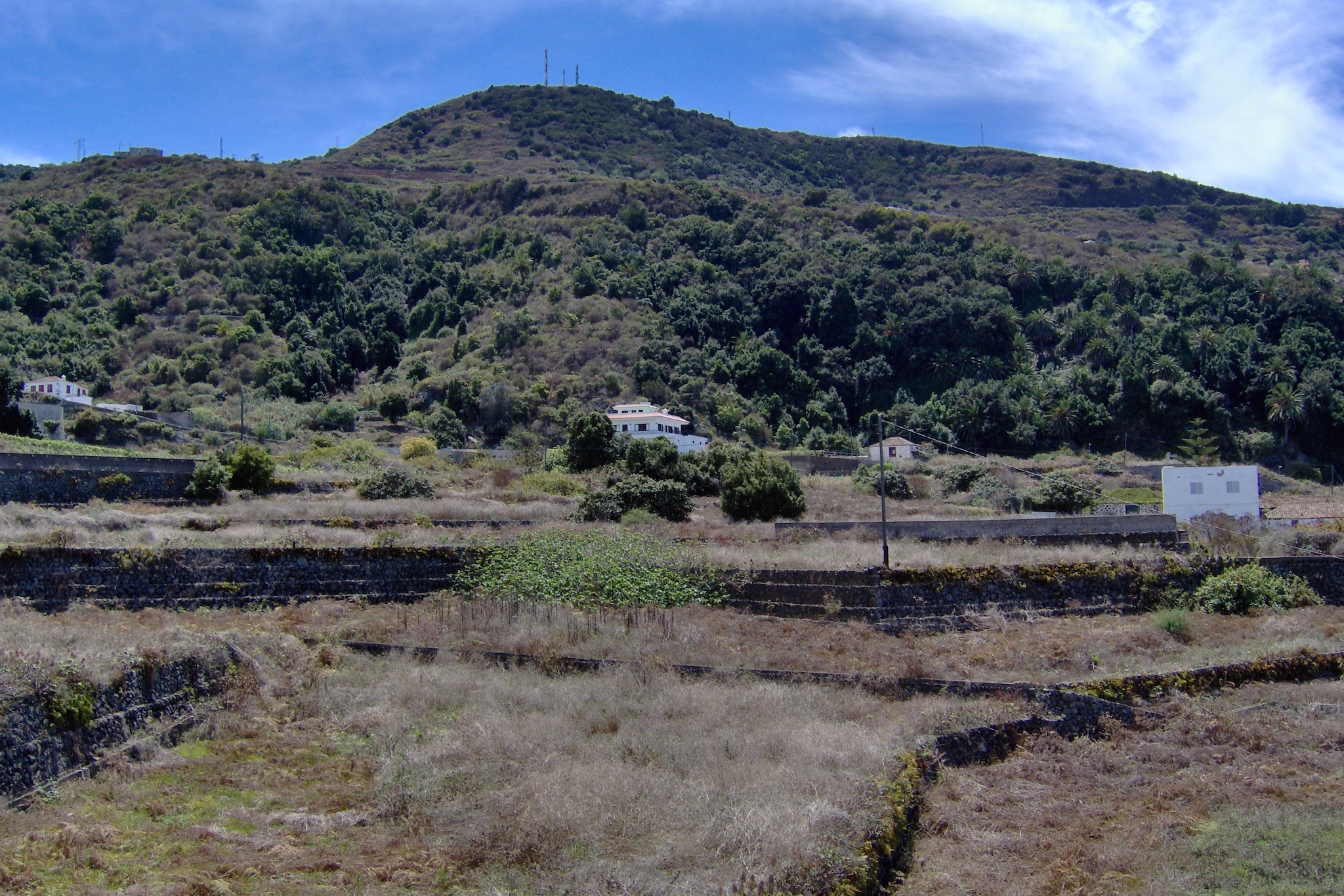 Apartamentos Monasterio de San Antonio 3 - Areas within 1km in summer