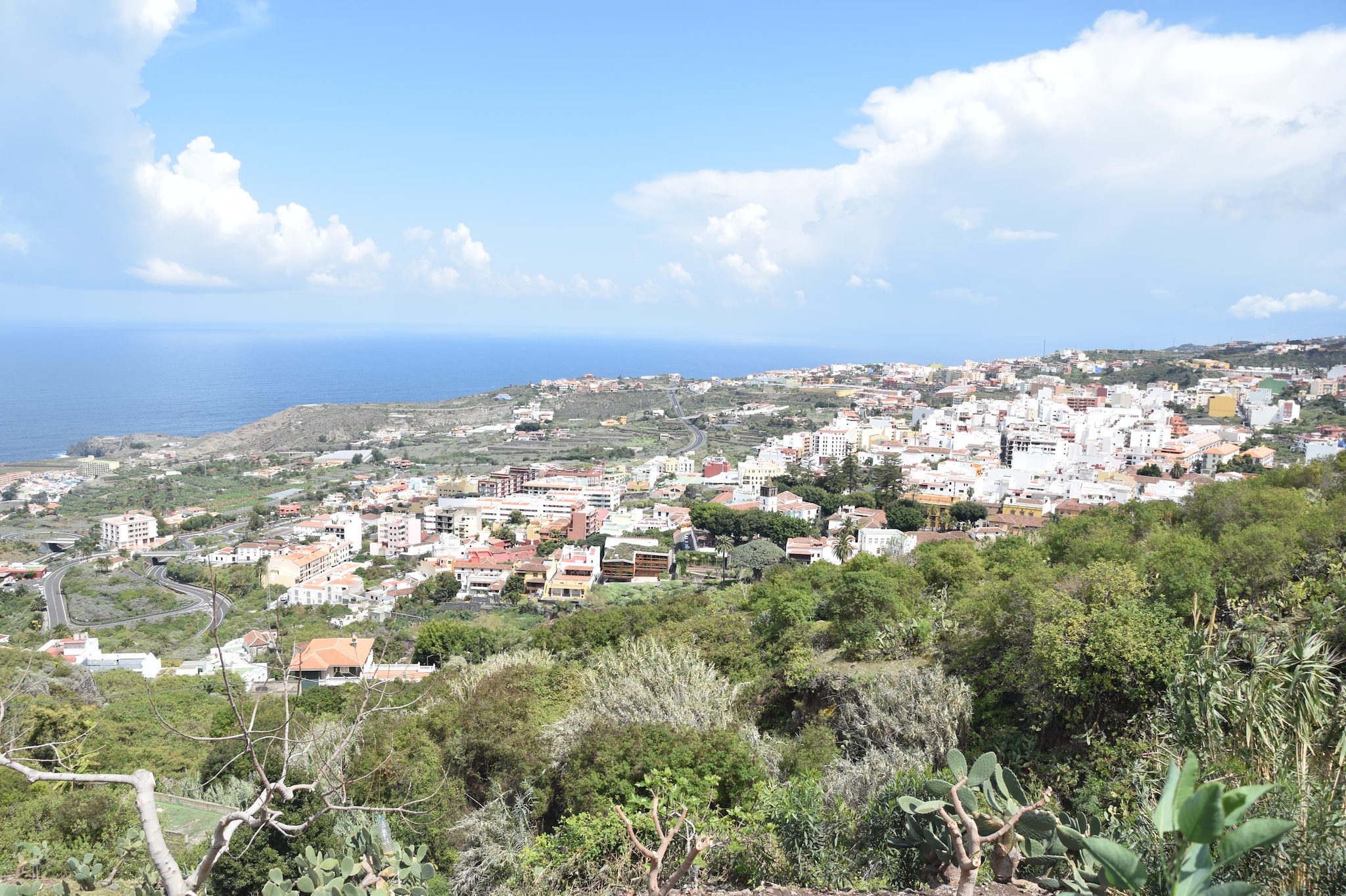 Apartamentos Monasterio de San Antonio 3 - Areas within 1km in summer