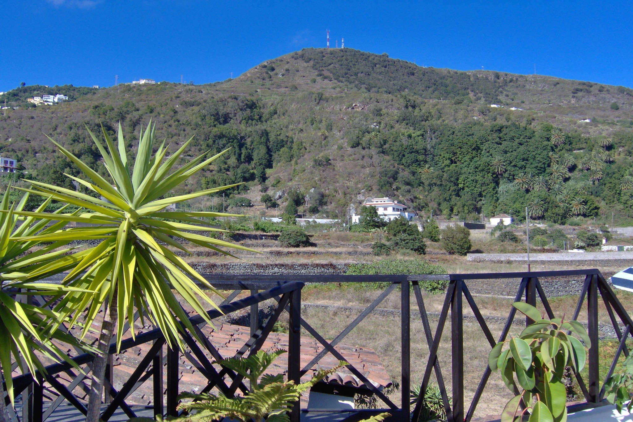 Apartamentos Monasterio de San Antonio 4 - Uitzicht zomer