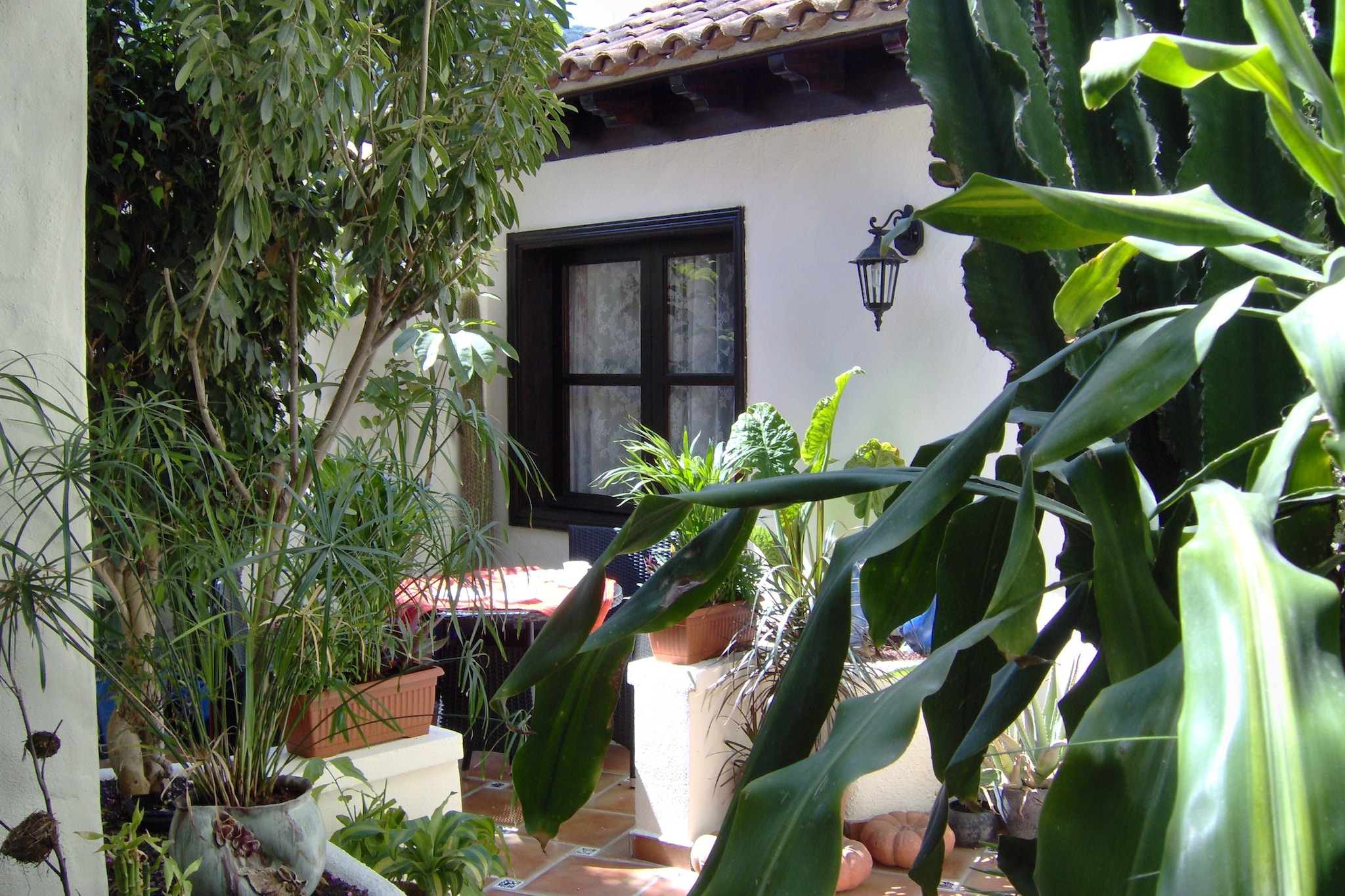 Apartamentos Monasterio de San Antonio 2 - Exterior in summer