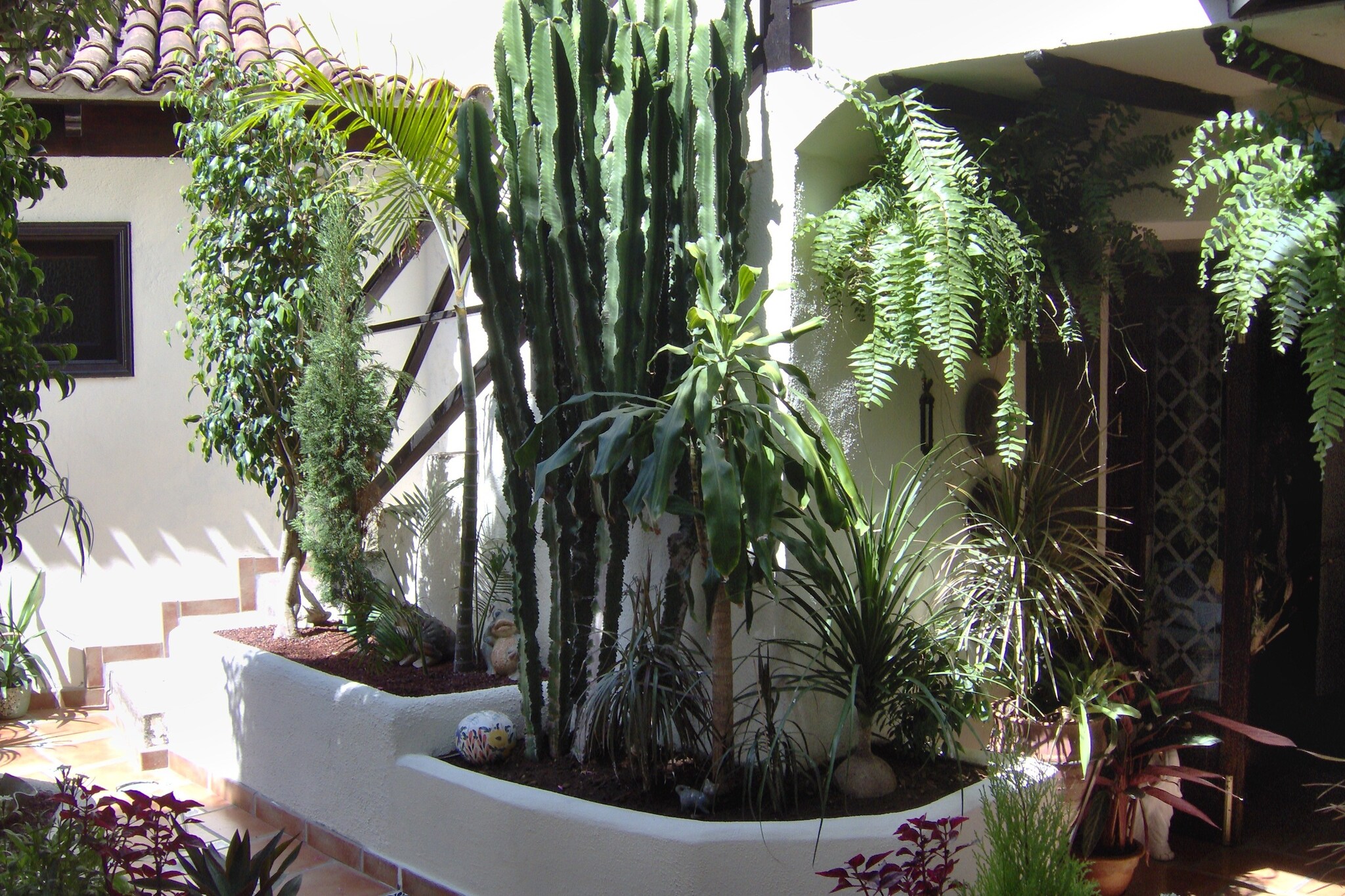 Apartamentos Monasterio de San Antonio 2 - Exterior in summer