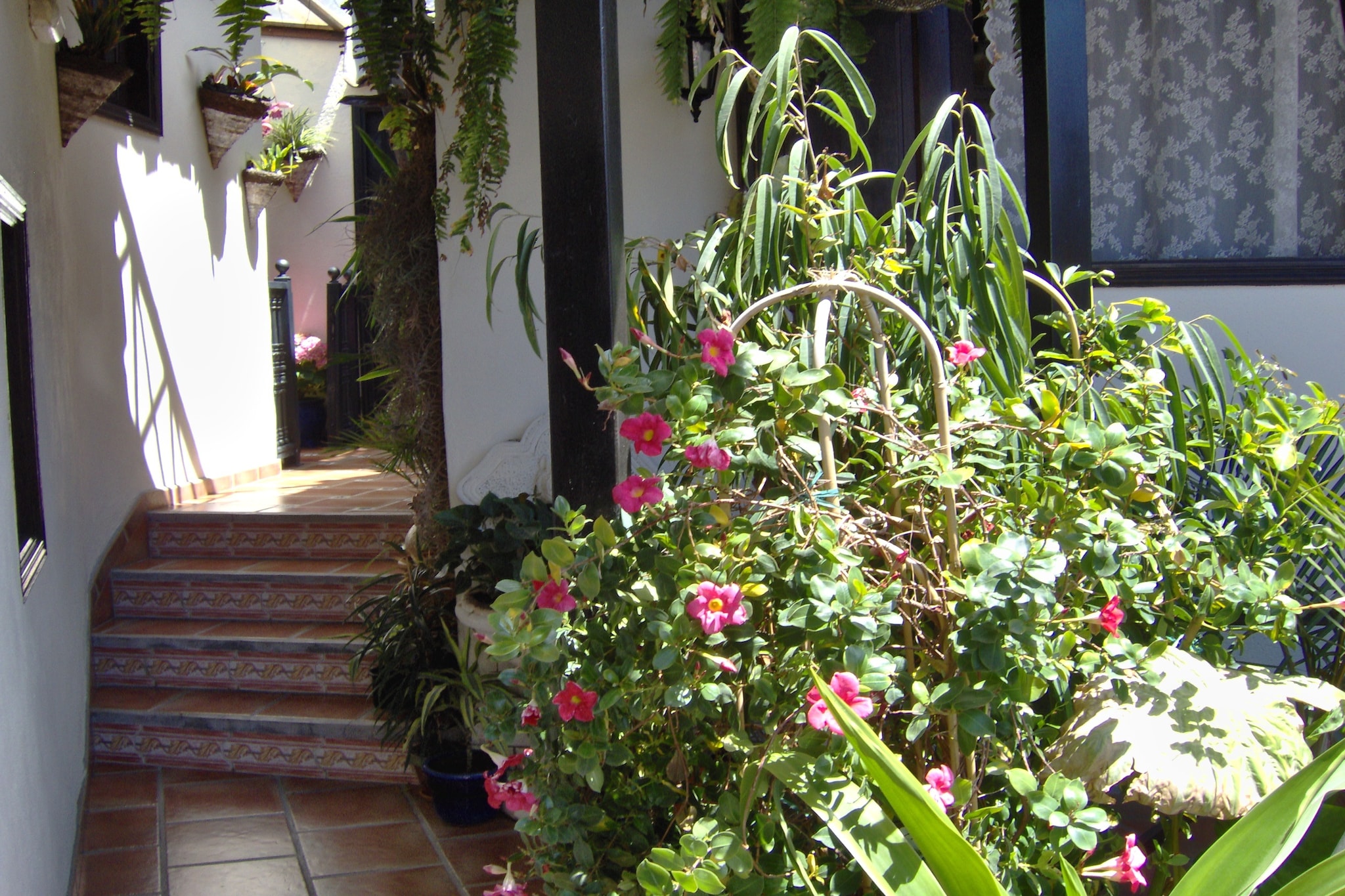 Apartamentos Monasterio de San Antonio 1-Sfeer