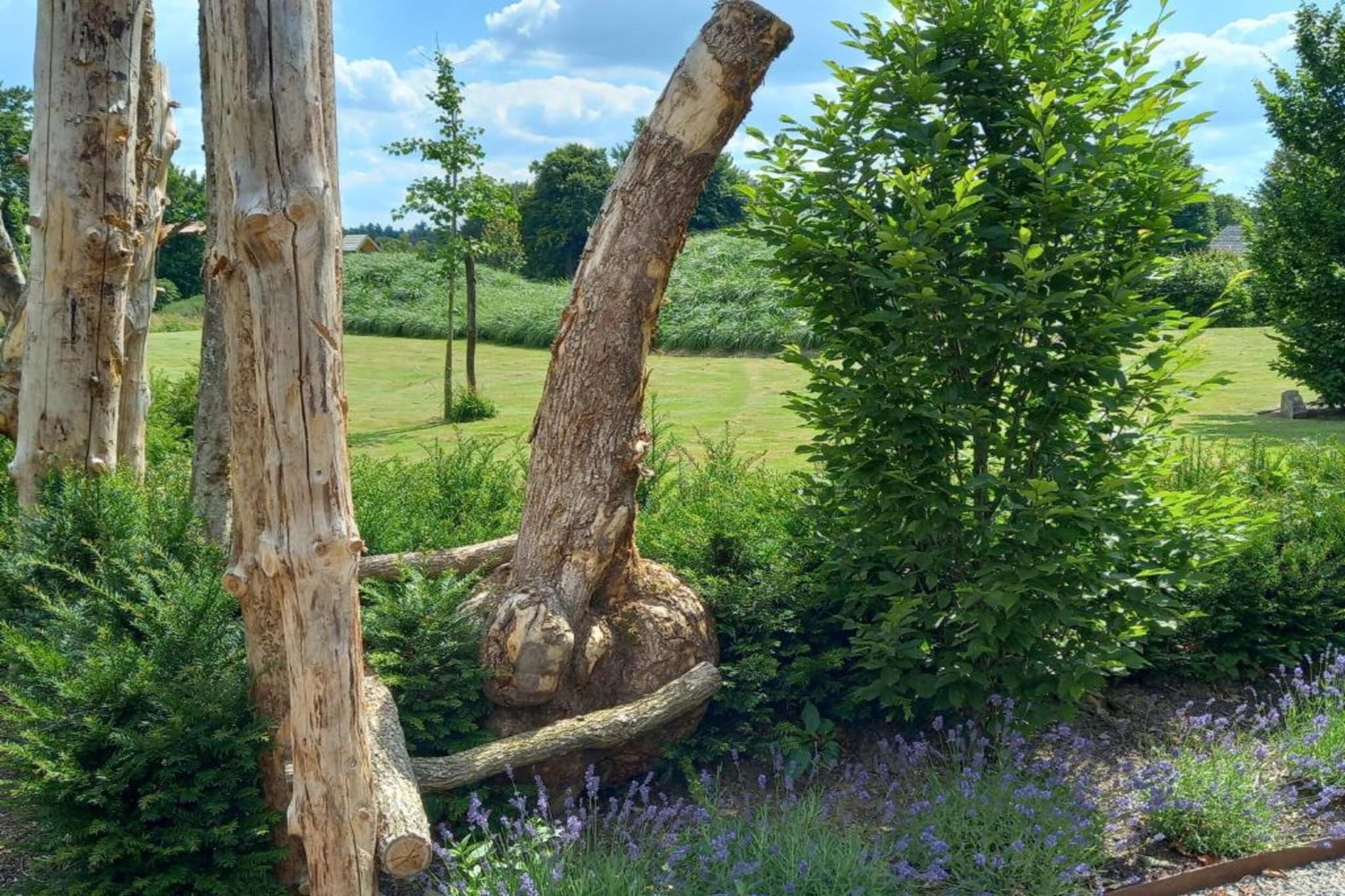Le Gîte de Jevigné-Areas summer 20km