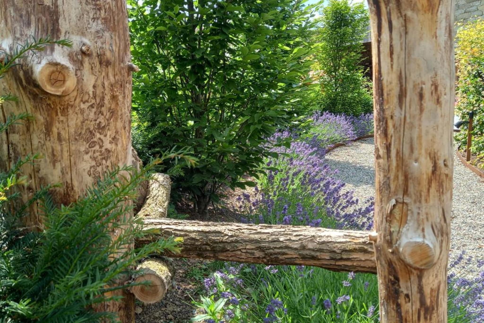 Le Gîte de Jevigné-Areas summer 20km