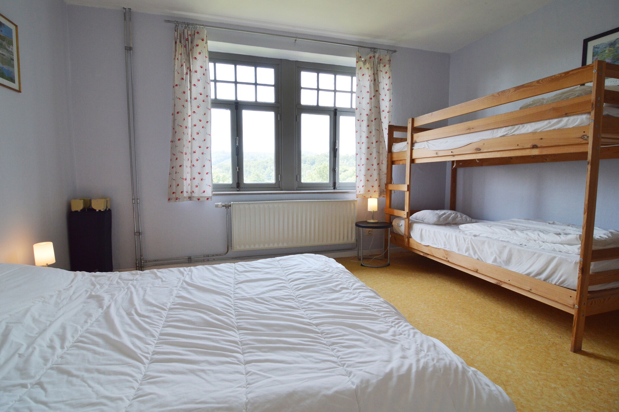 Vakantiehuis Verlaine sur Ourthe max. 20 personen 3 huisdieren 7 slaapkamers #12