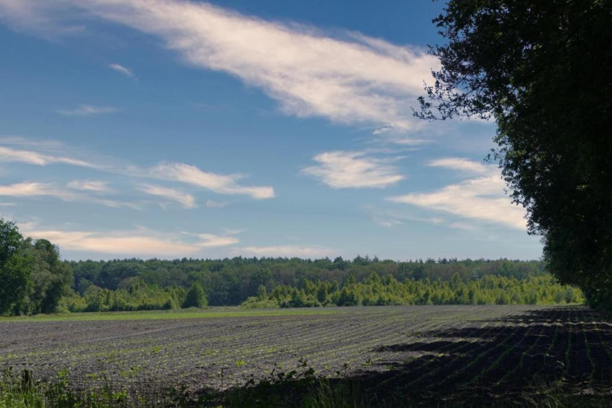 Bospark Lunsbergen 5-Gebieden zomer 20km