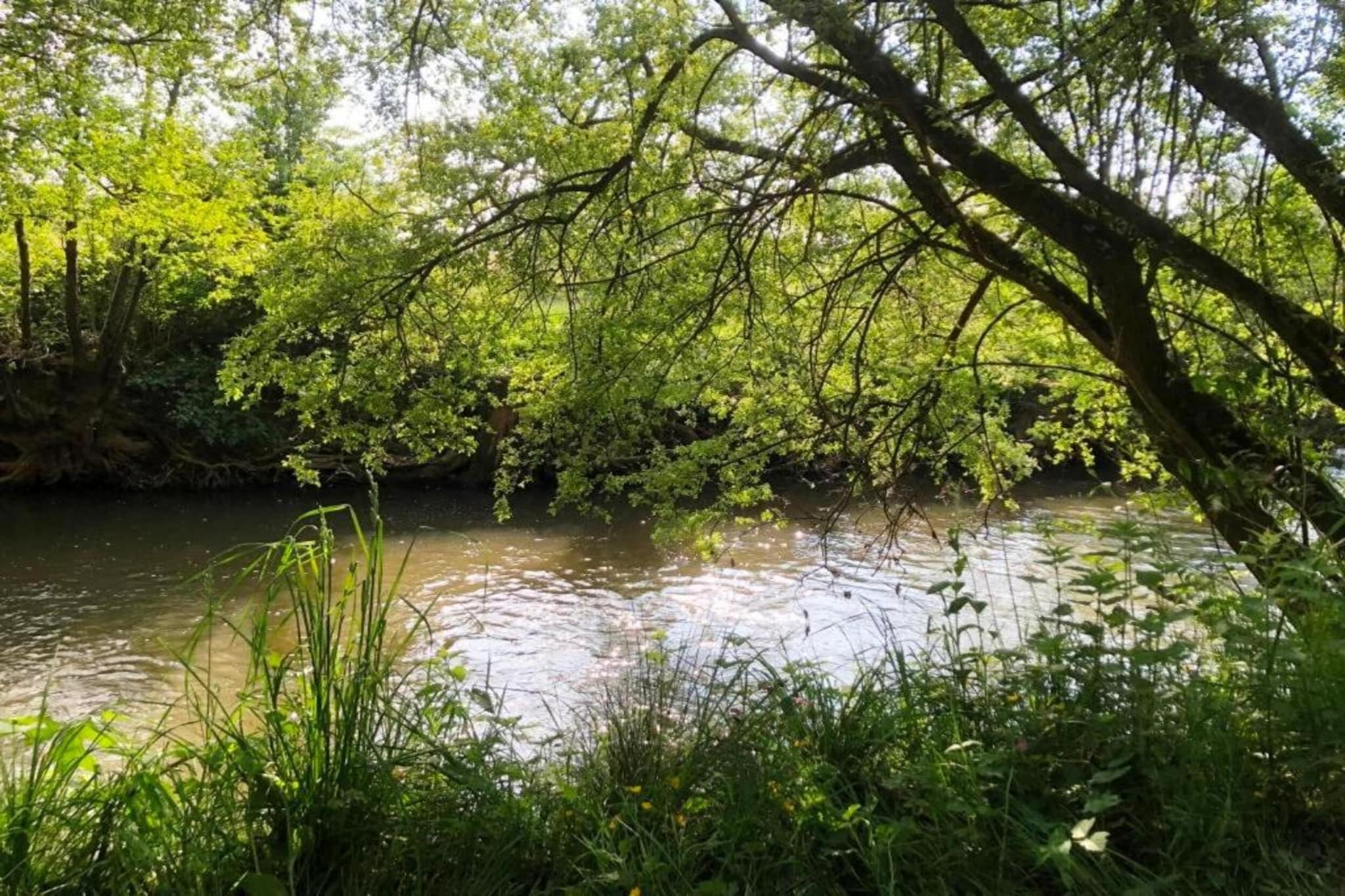 Le Fournil-Areas summer 20km