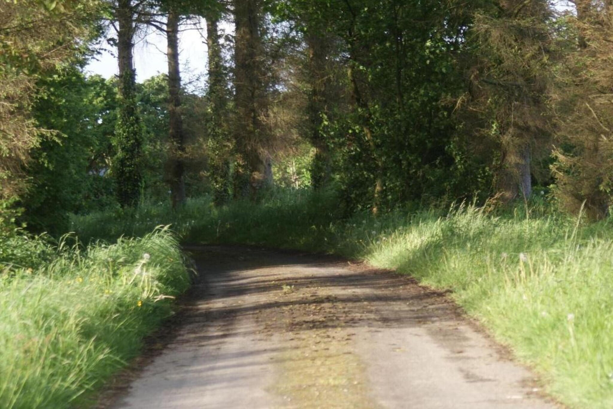 Le Fournil-Areas summer 20km