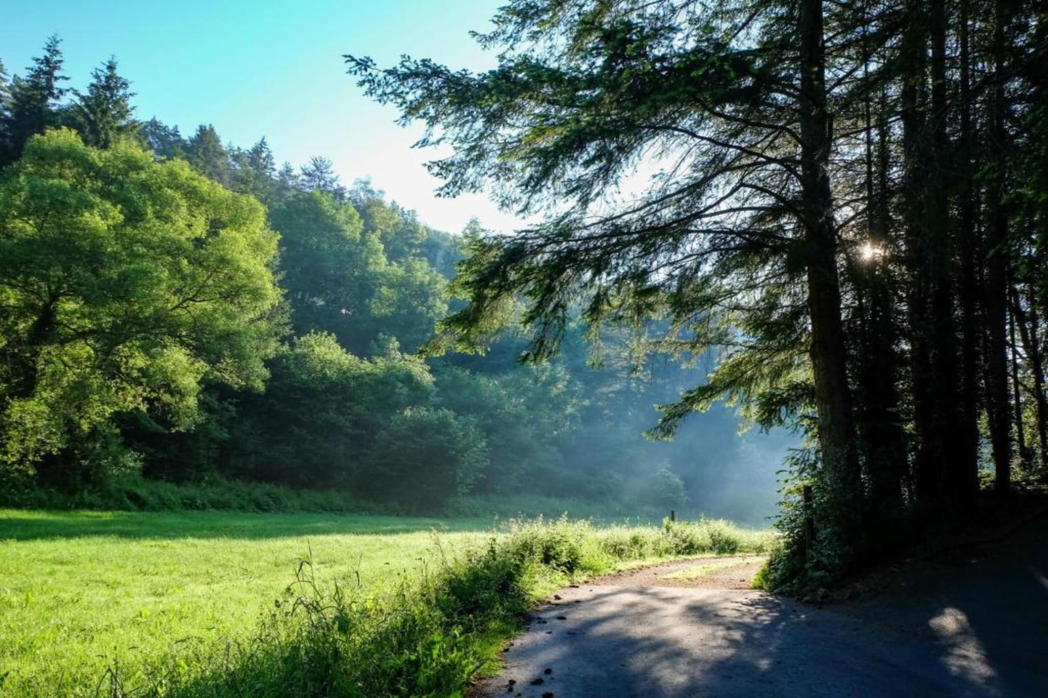 Feriendorf Reinskopf 5-Gebiete Sommer 5 km