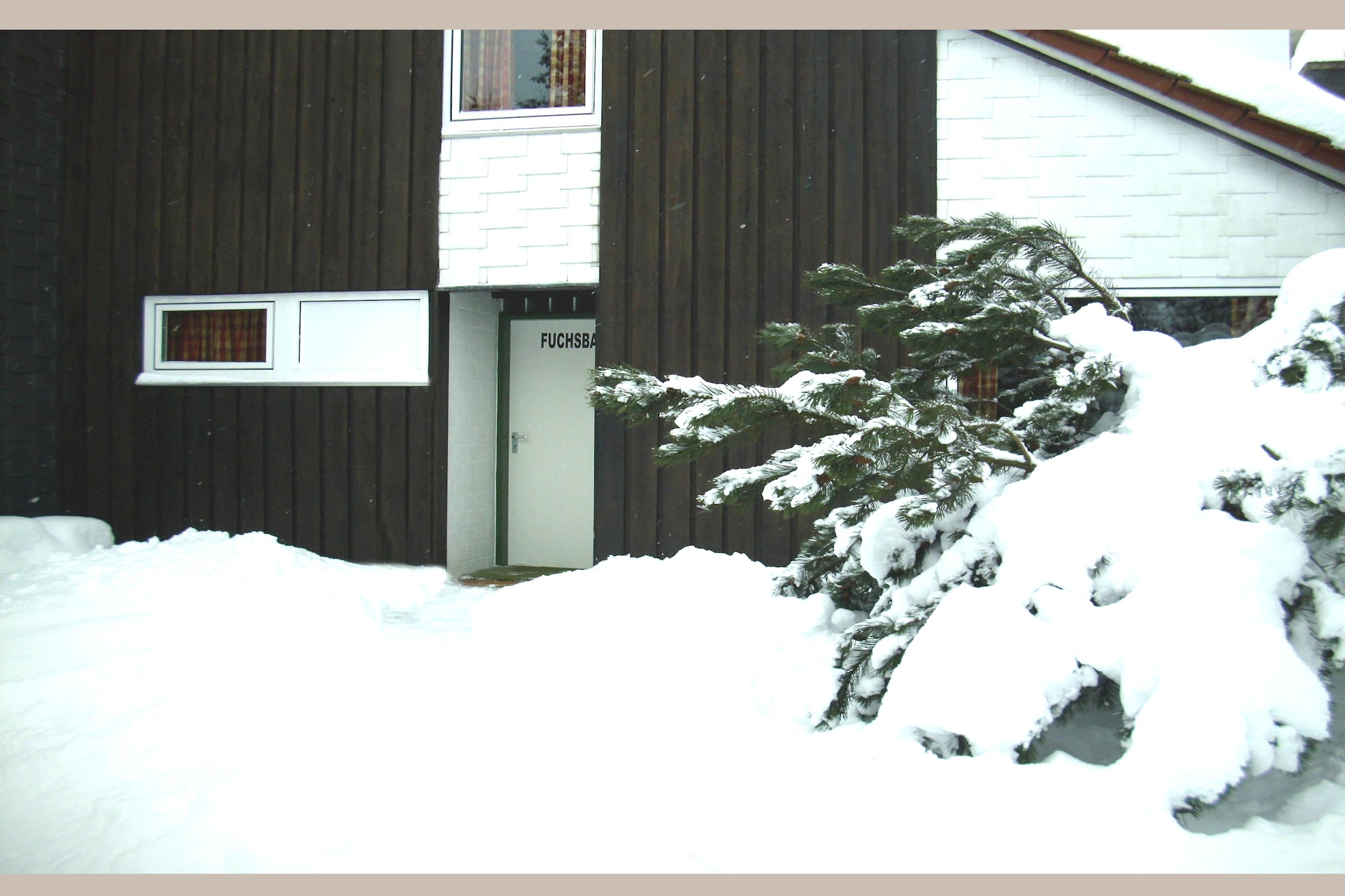 Biberbau-Exterieur winter