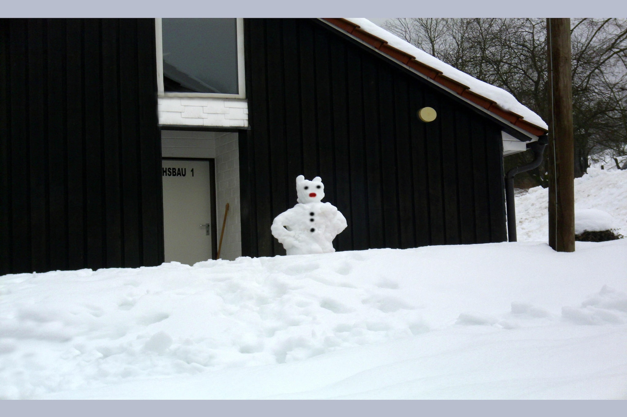 Dachsbau-Exterieur winter