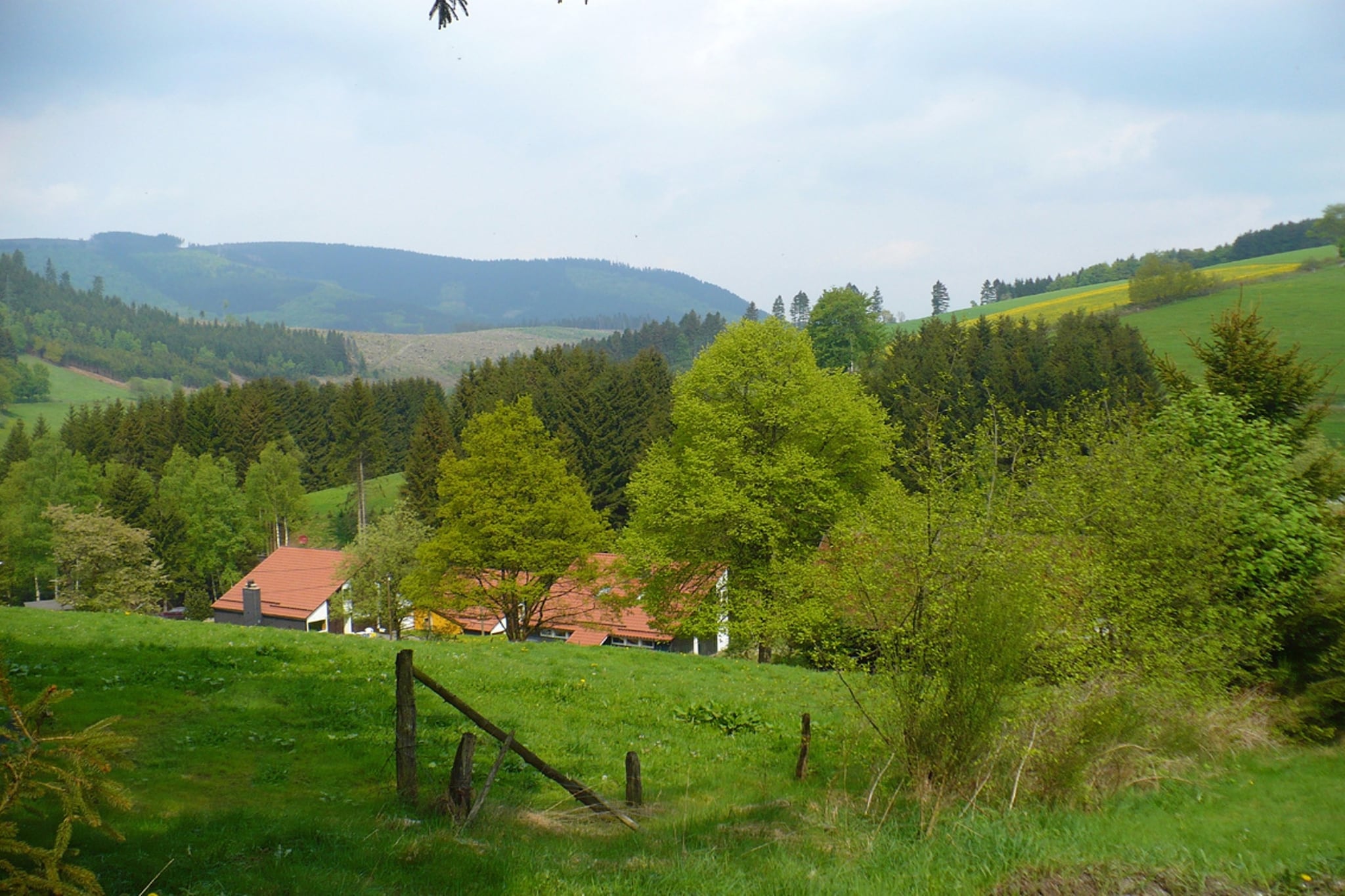 Murmeltier-Areas summer 1km