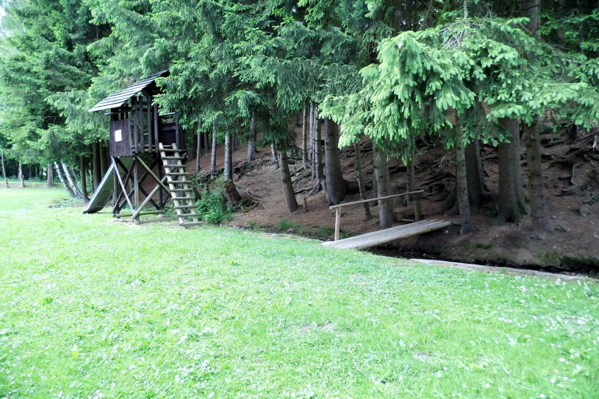 Murmeltier-Areas summer 1km