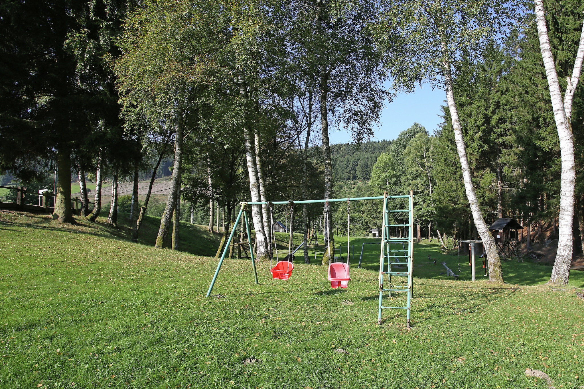 Murmeltier-Areas summer 1km