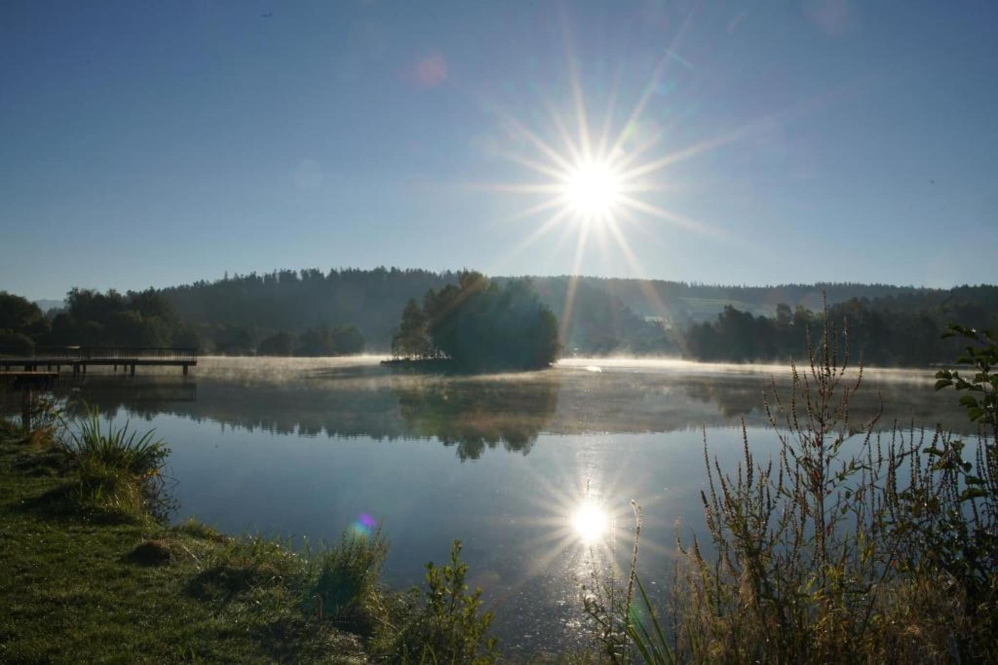 Vakantiepark Jägerwiesen 1-Gebiete Sommer 20 km