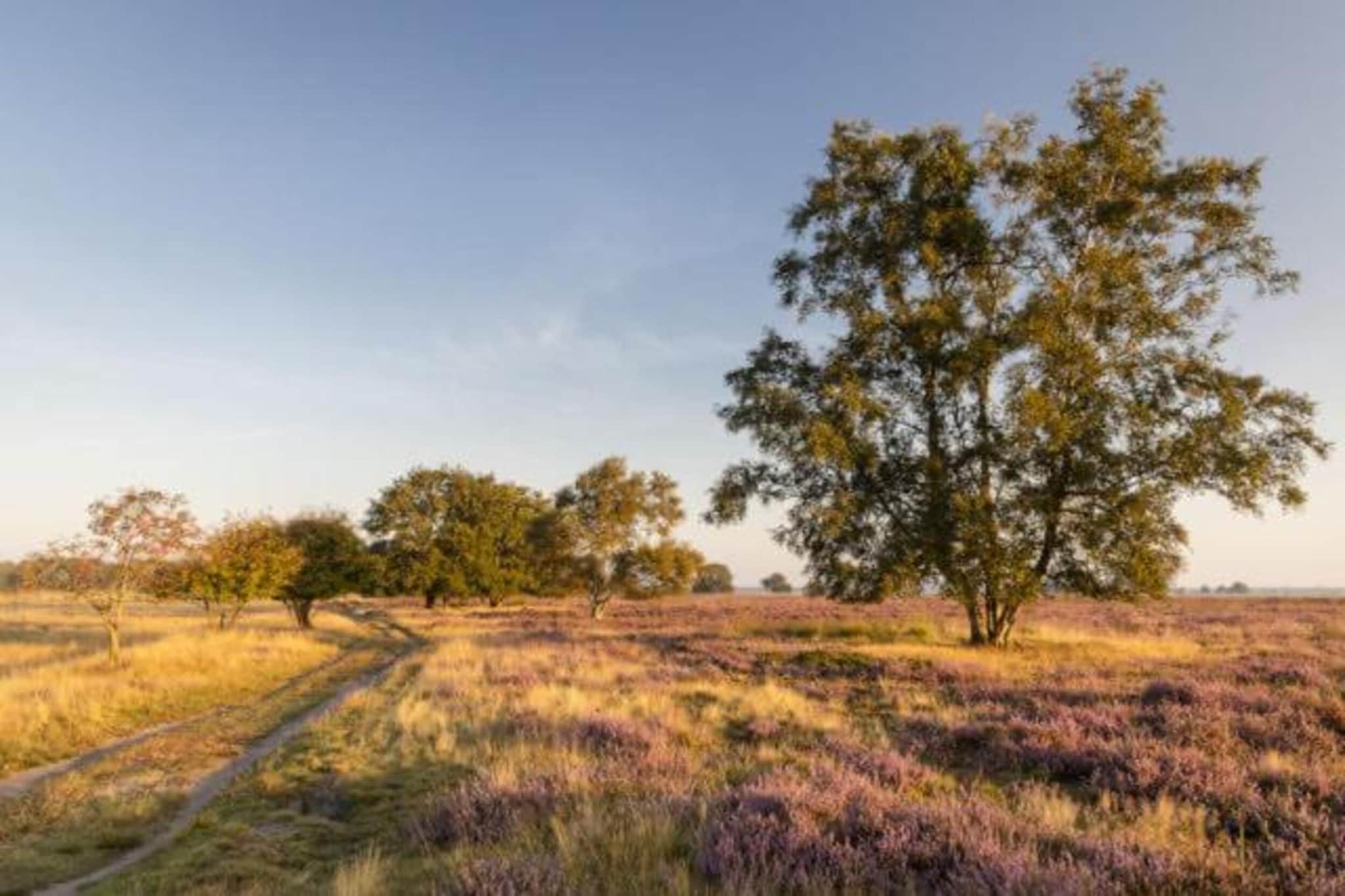 Bospark Lunsbergen 6-Gebieden zomer 20km