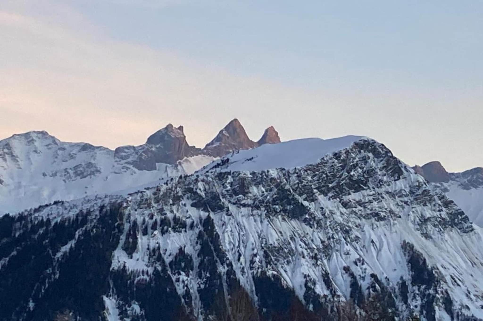 Résidence L'Écrin des Sybelles 1-Gebiet Winter 20 km