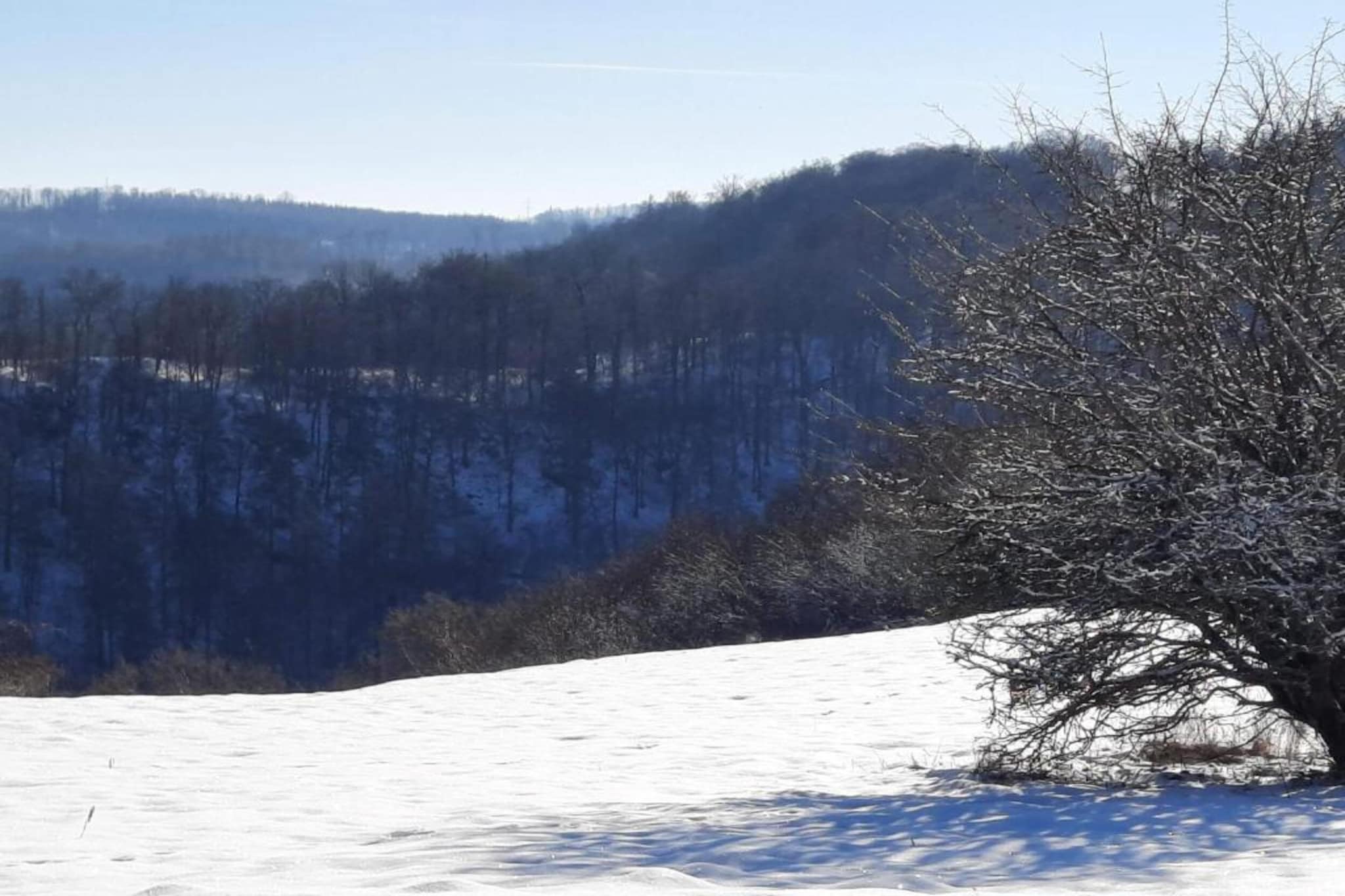 Stalter-Gebied winter 20km