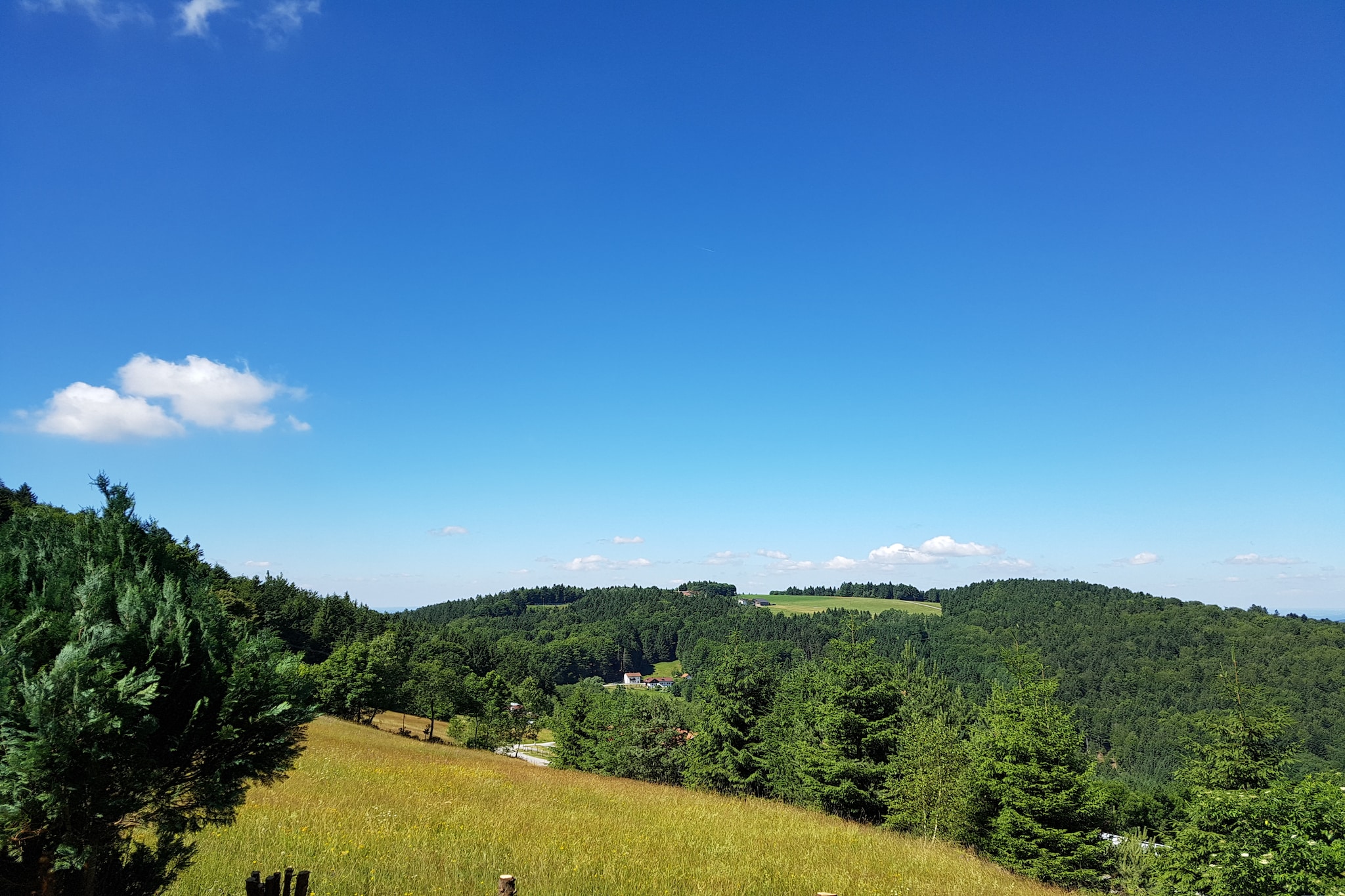 Talblick-Uitzicht zomer