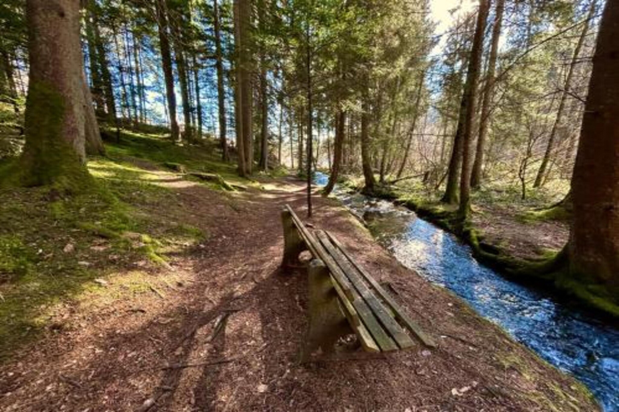 Am Wald-Gebieden zomer 20km