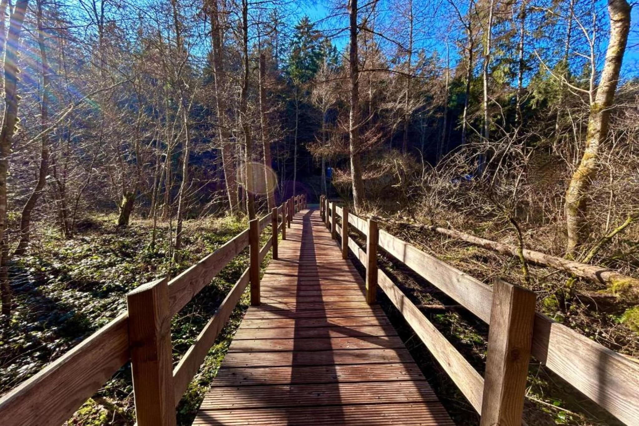 Am Wald-Gebieden zomer 20km