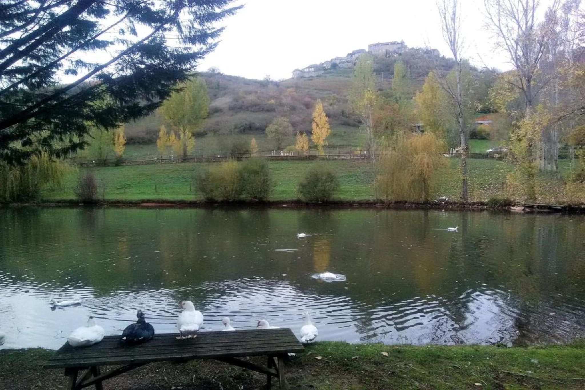 Résidence Le Hameau du Lac 1-Gebieden zomer 20km