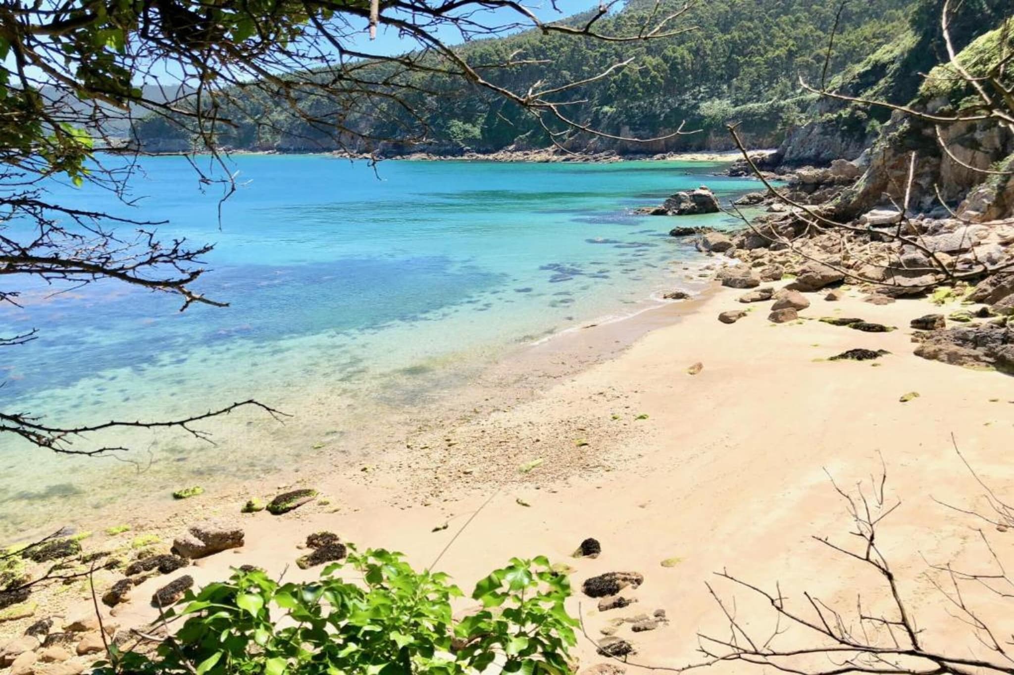 Quinta do Couto-Gebieden zomer 20km