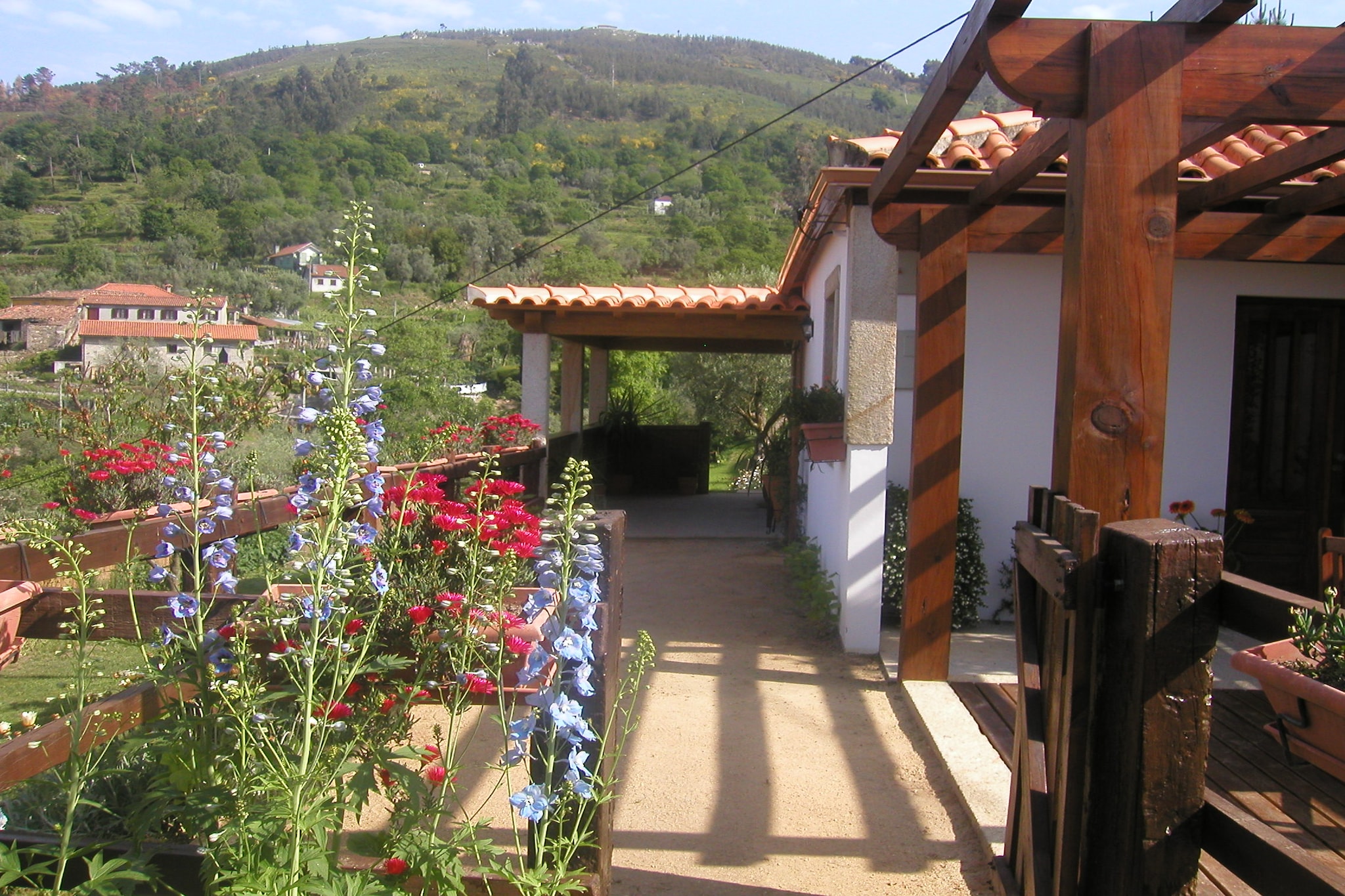 Exterior Summer