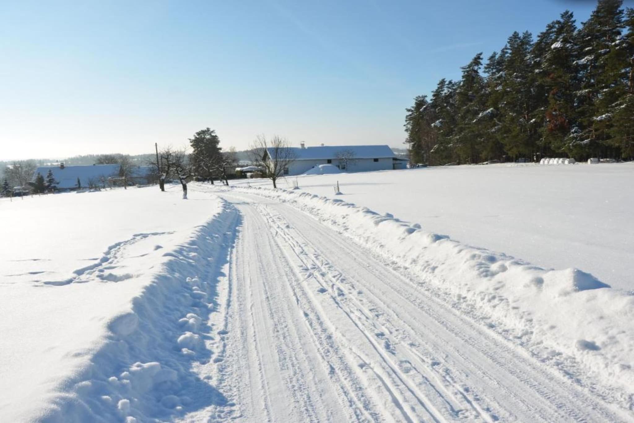 Jablon-Area winter 20km