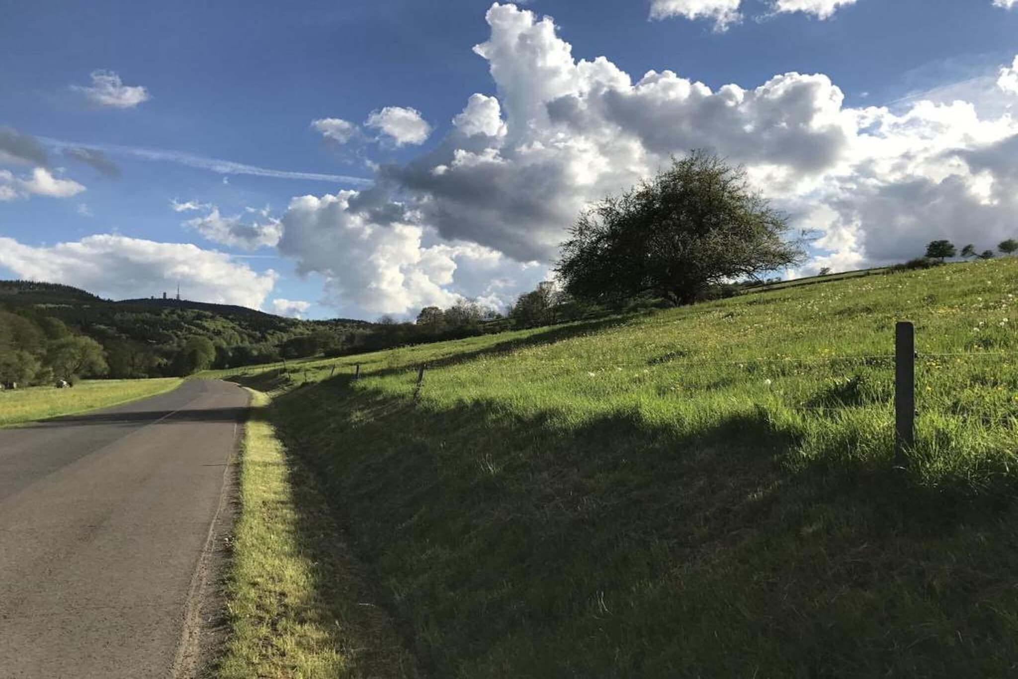 Naturstammhaus-Areas summer 20km