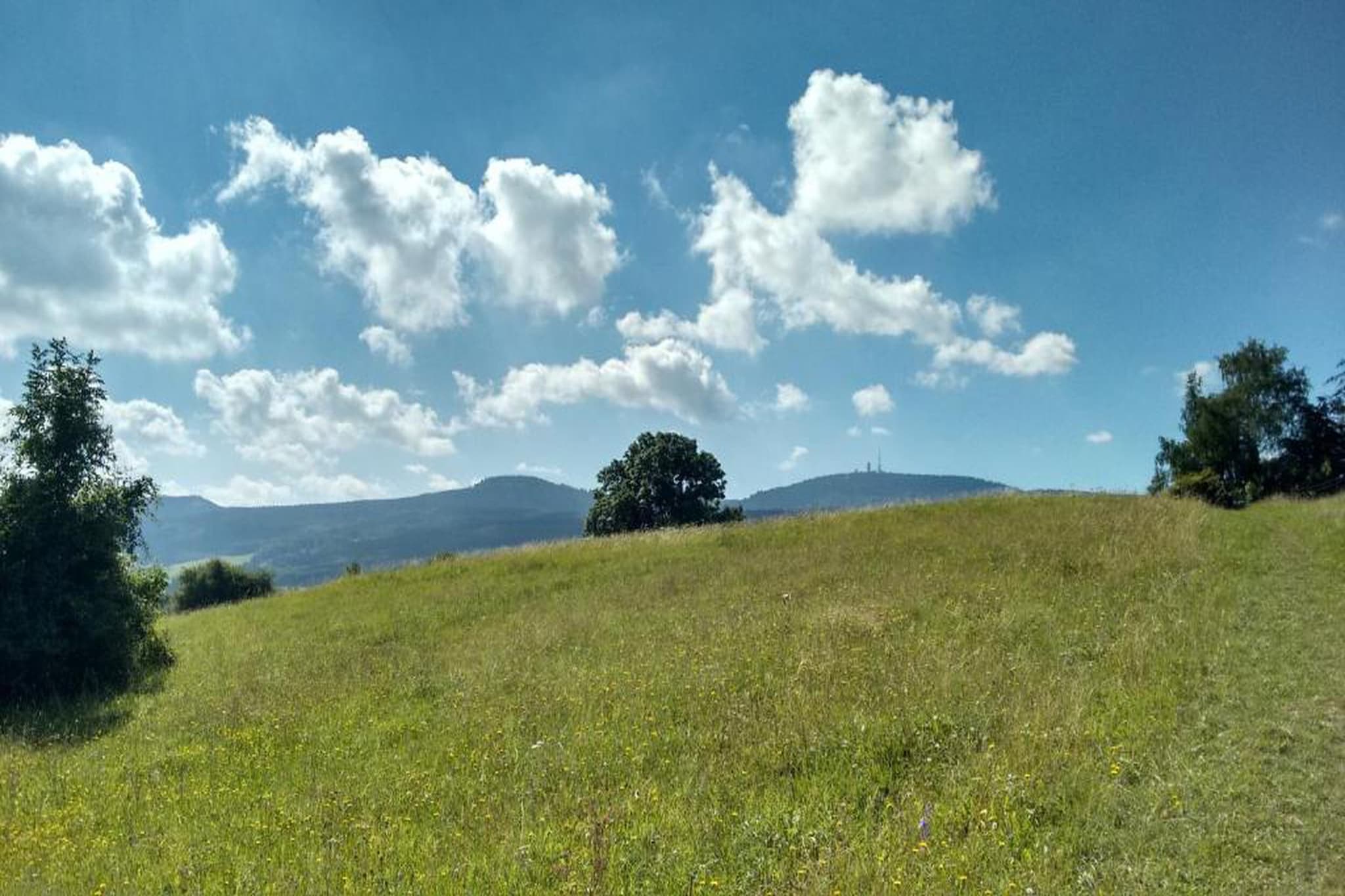 Naturstammhaus-Areas summer 20km