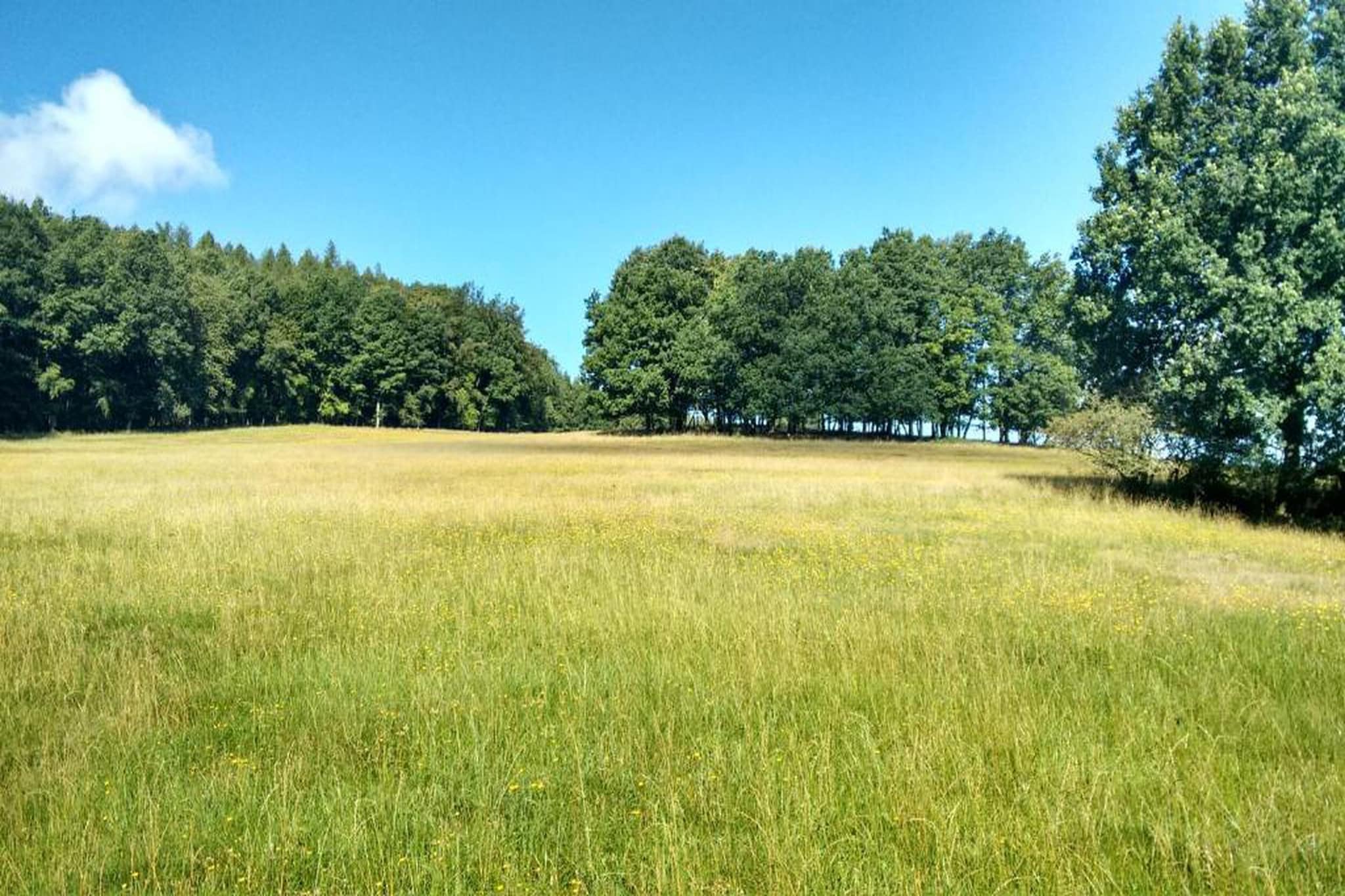 Naturstammhaus-Areas summer 20km