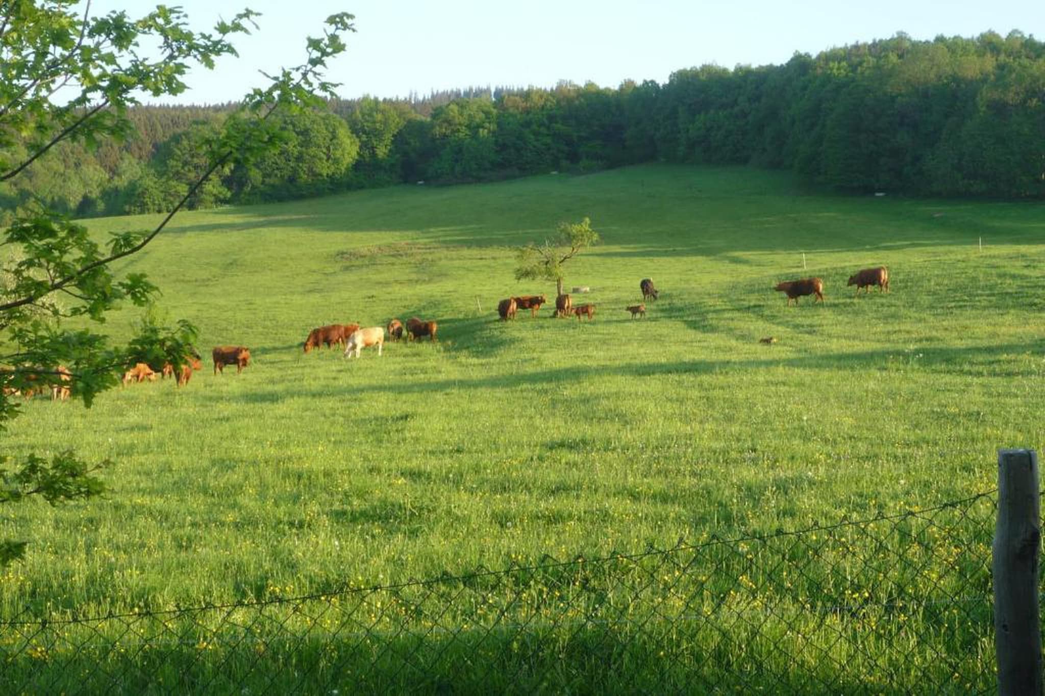 Naturstammhaus-Areas summer 20km