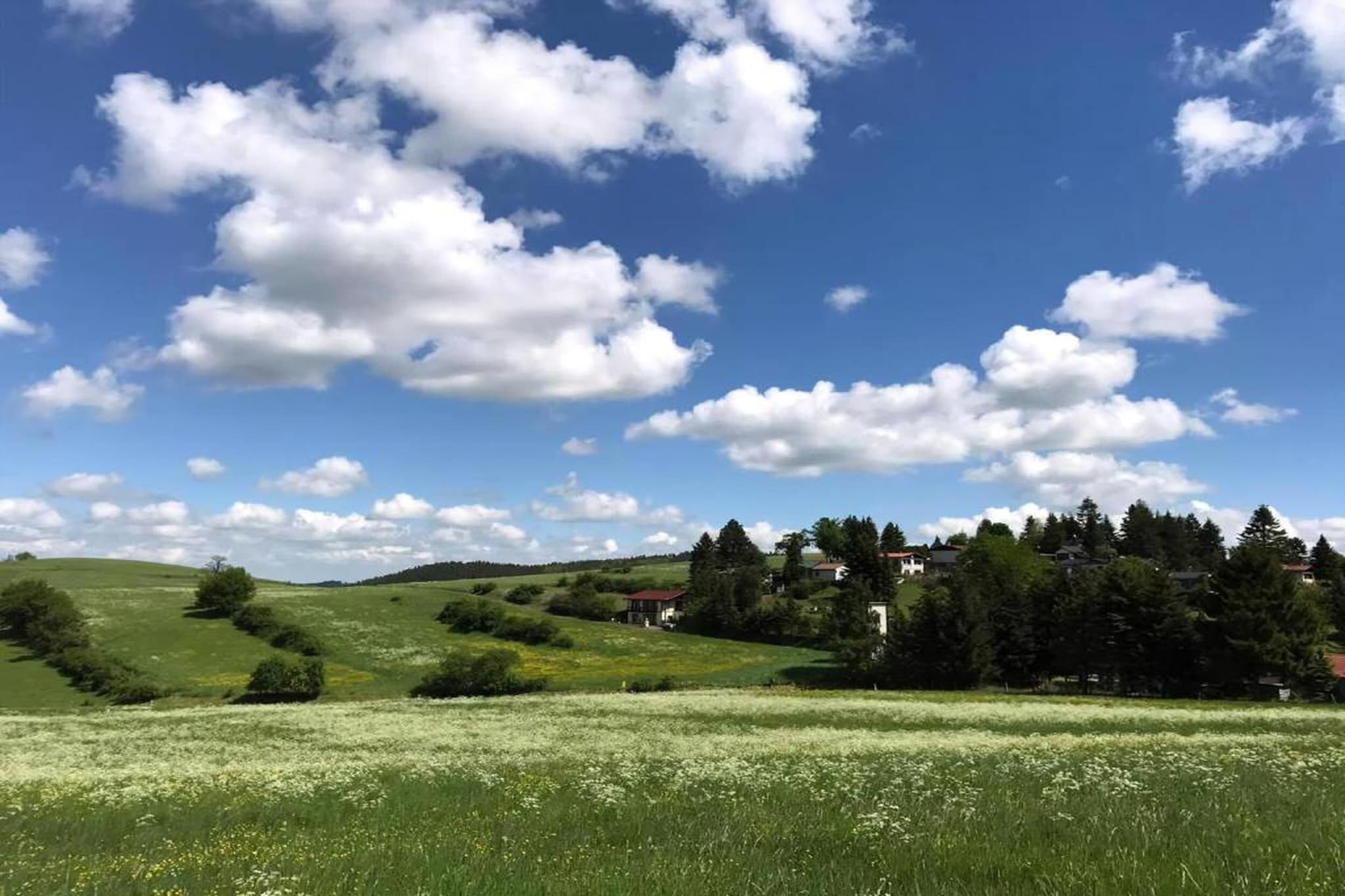 Naturstammhaus-Areas summer 20km