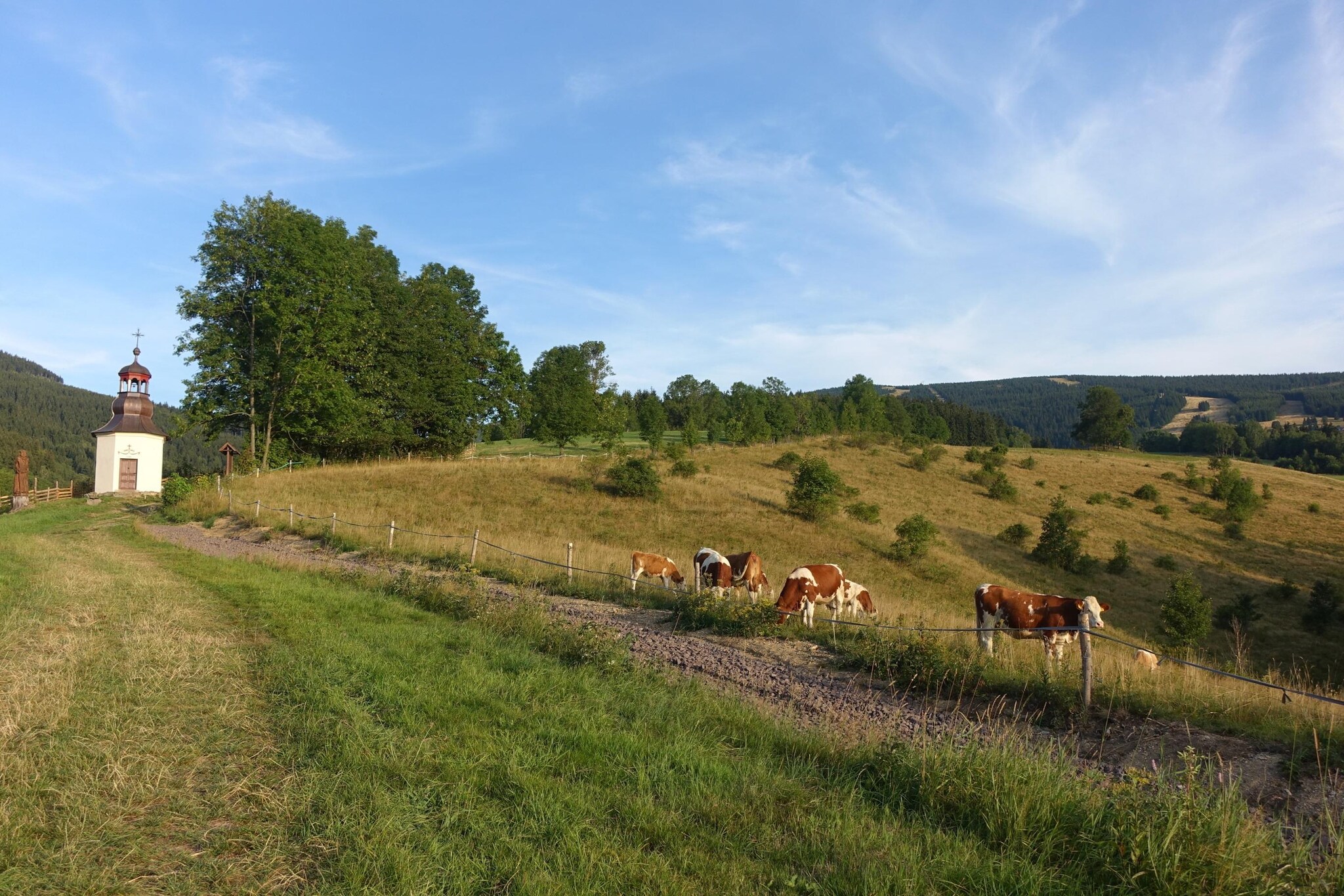 Rokytno-Gebieden zomer 5km