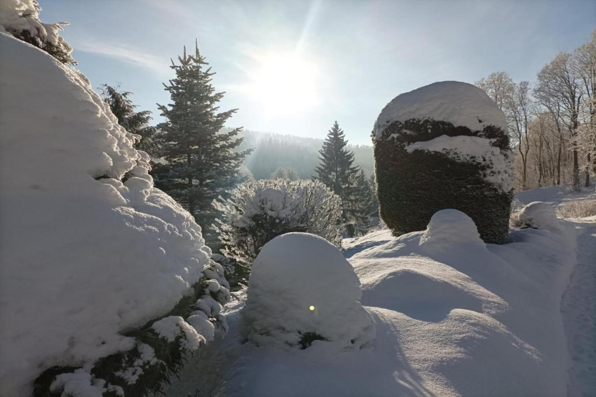 Rokytno-Area winter 20km