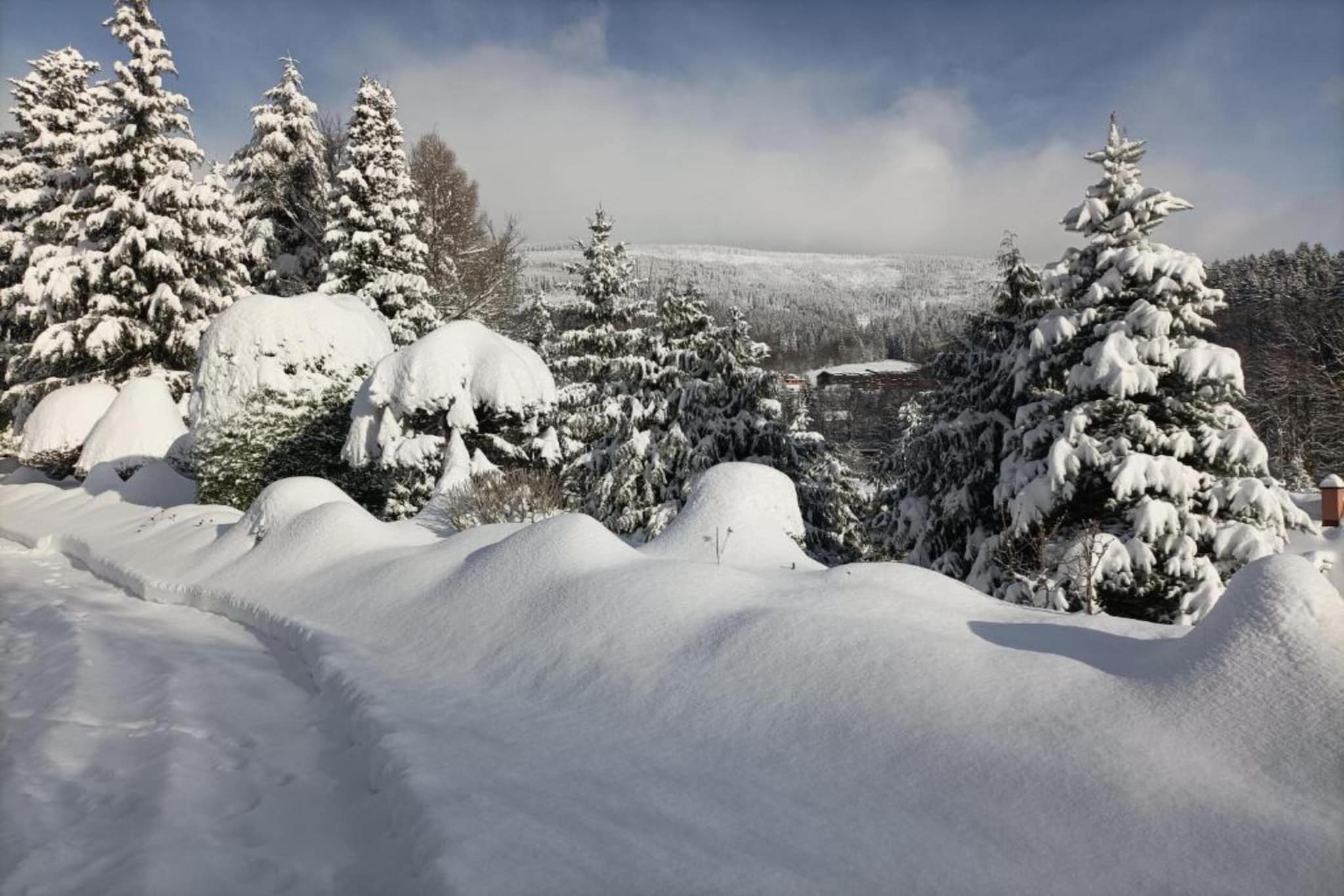 Rokytno-Area winter 20km