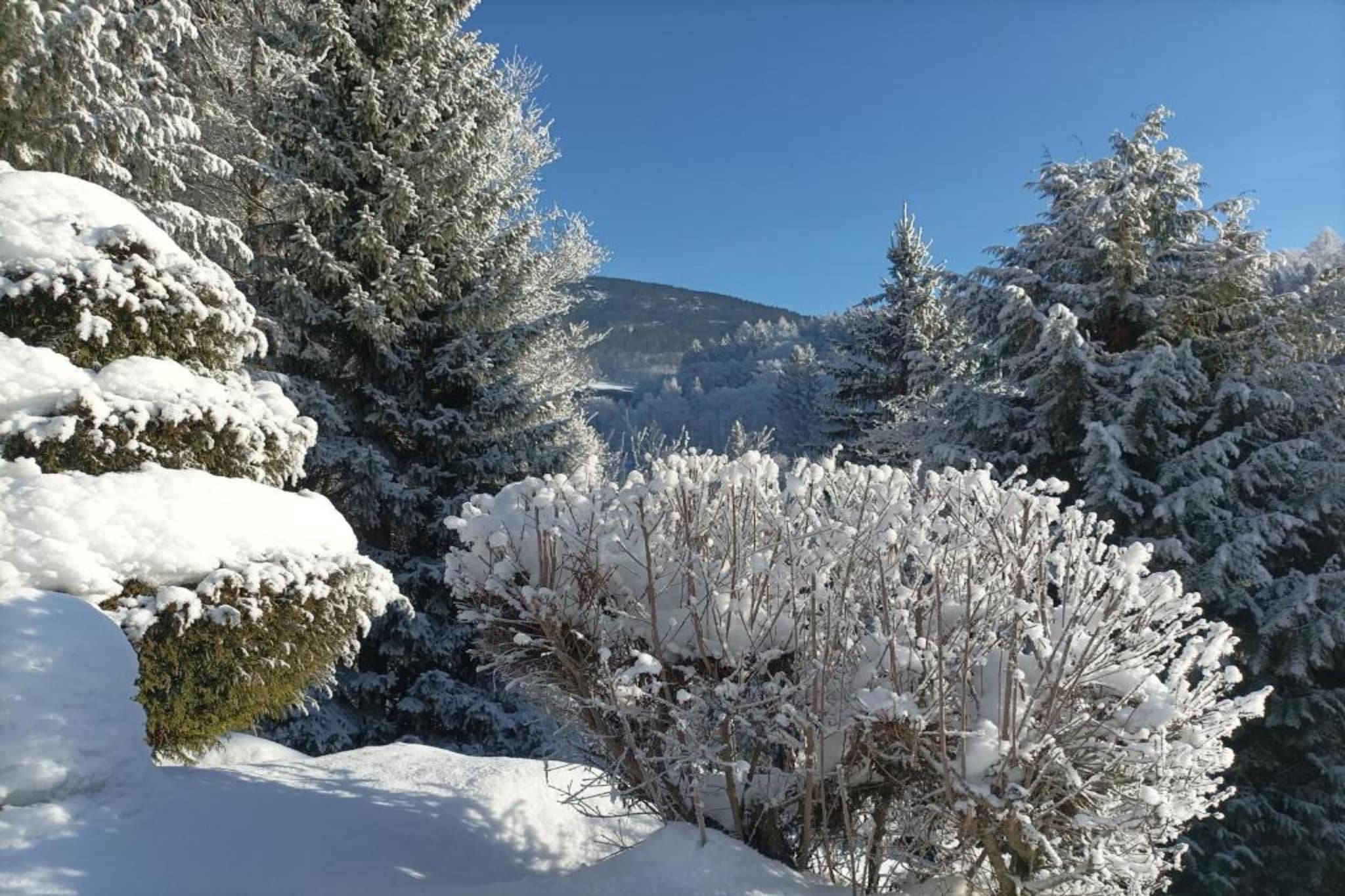 Rokytno-Area winter 20km