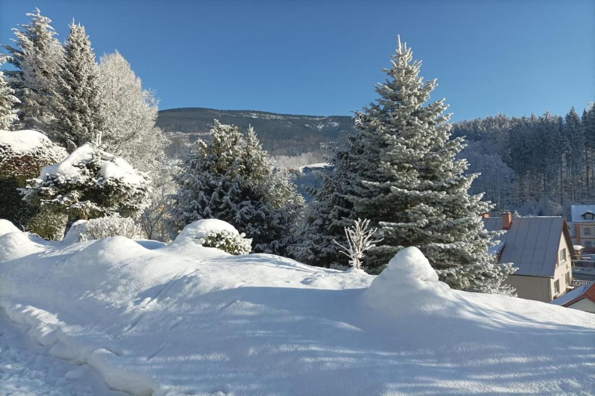 Rokytno-Area winter 20km