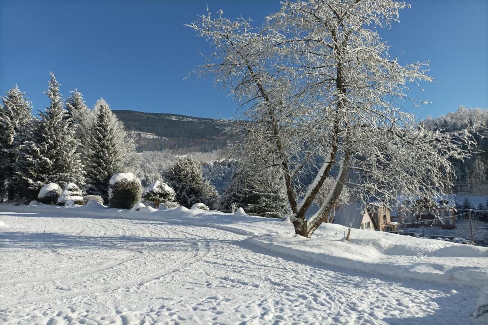 Rokytno-Area winter 20km