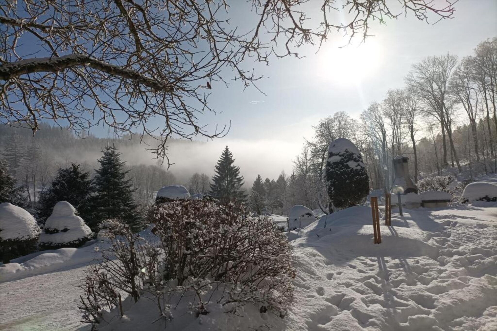Rokytno-Area winter 20km