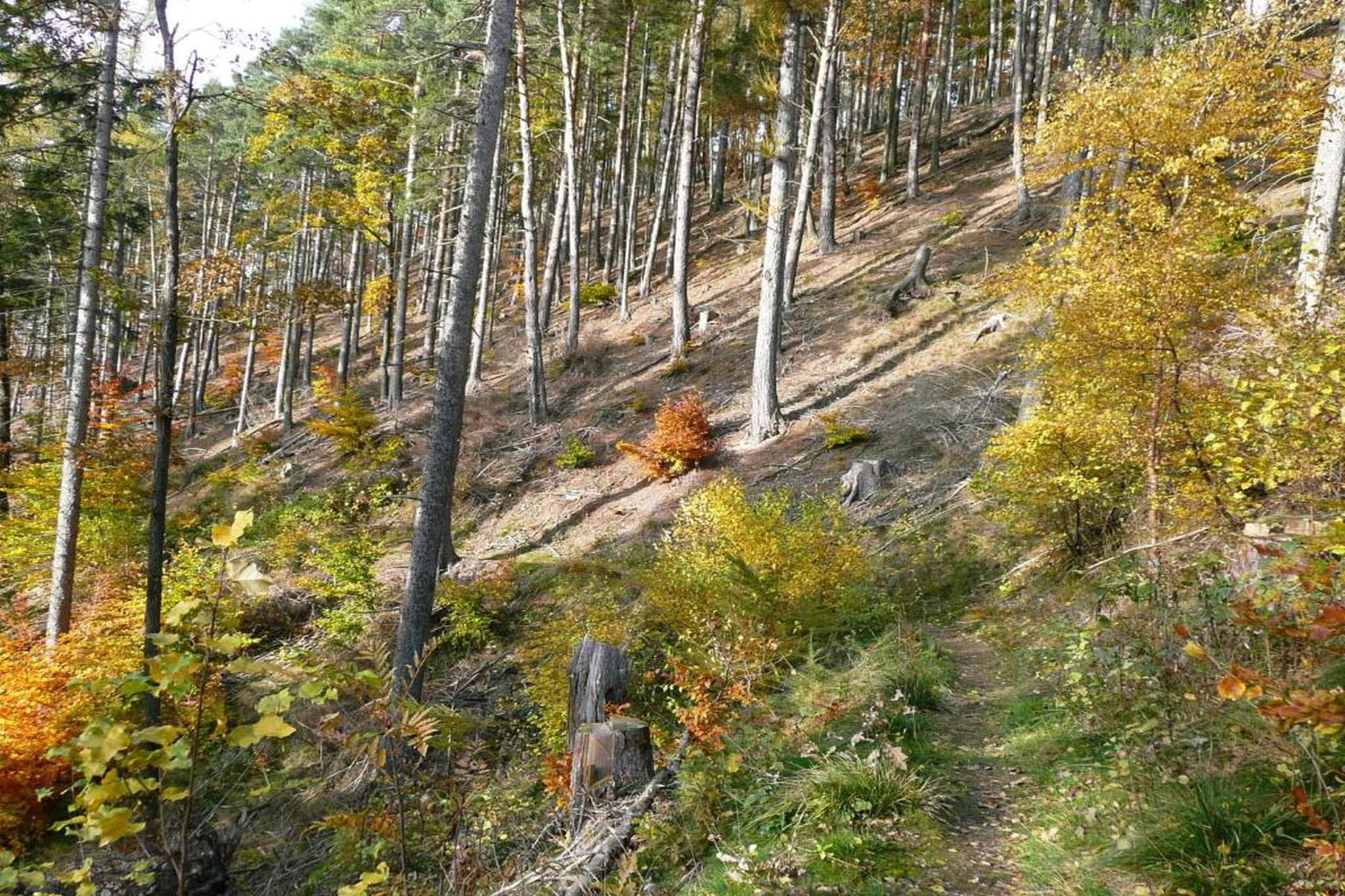 Fachwerkhaus Thüringen-Zones d'été à 20 km