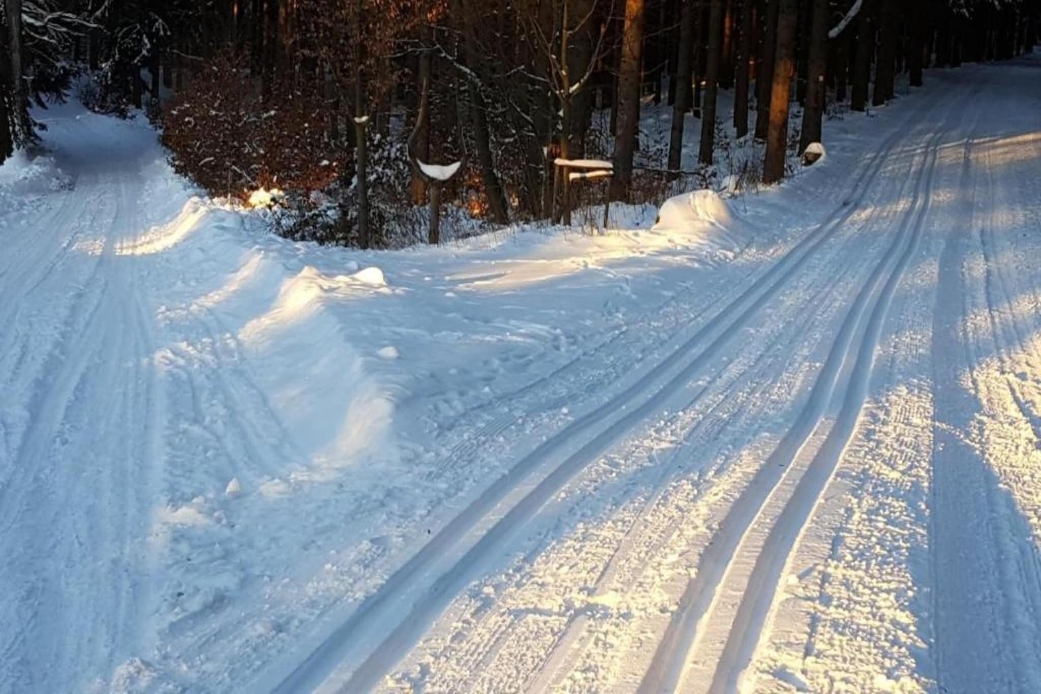 Ferienhaus im Thüringer Wald-Gebiet Winter 5 km