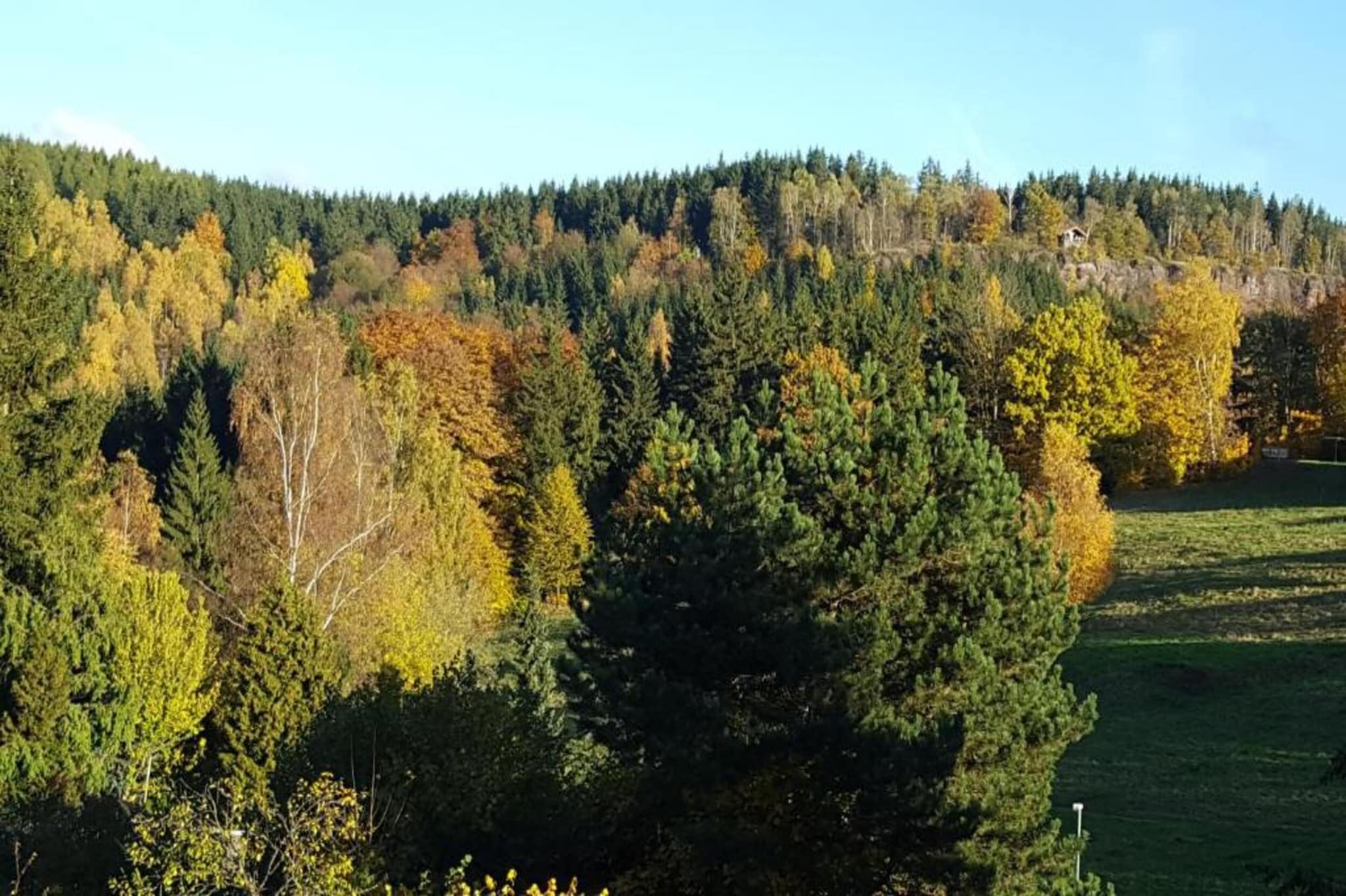 Ferienhaus im Thüringer Wald