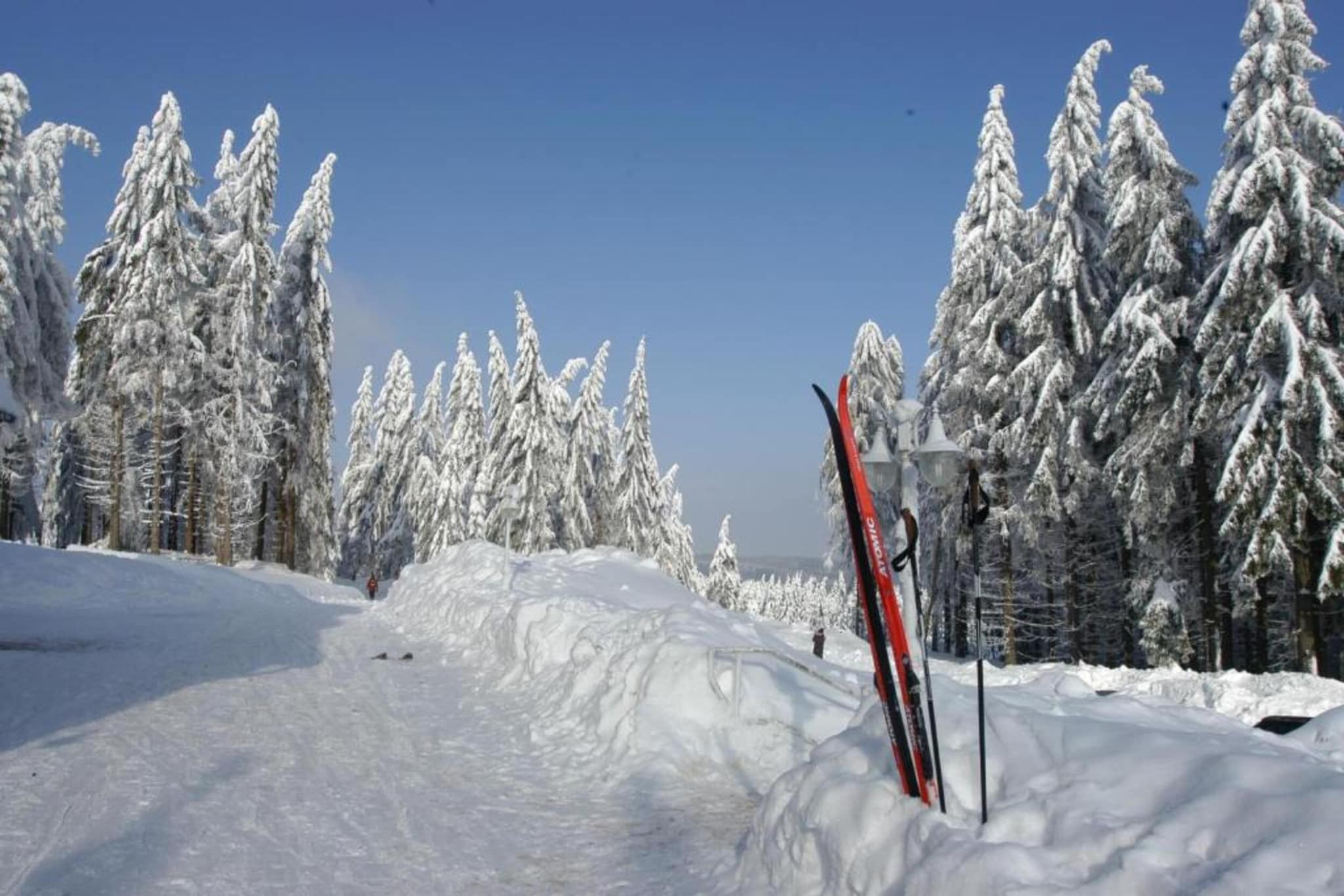Ferienhaus im Thüringer Wald-Gebiet Winter 5 km