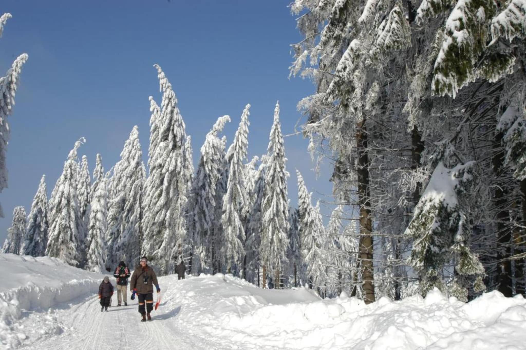 Ferienhaus im Thüringer Wald-Gebiet Winter 5 km
