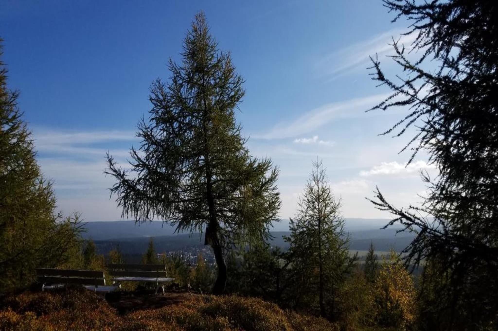 Ferienhaus im Thüringer Wald-Gebiete Sommer 5 km