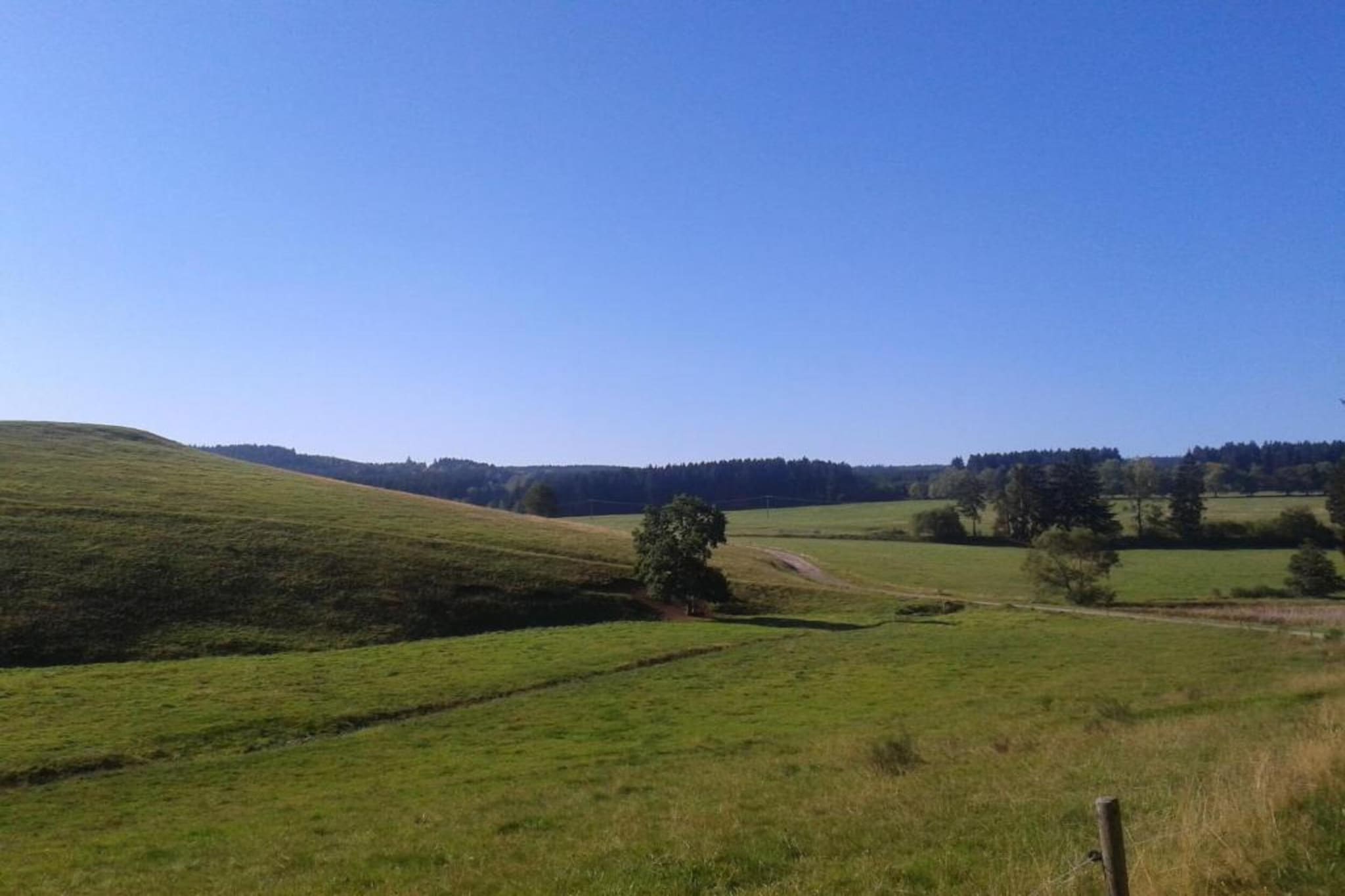 Ferienhaus im Thüringer Wald-Gebiete Sommer 5 km